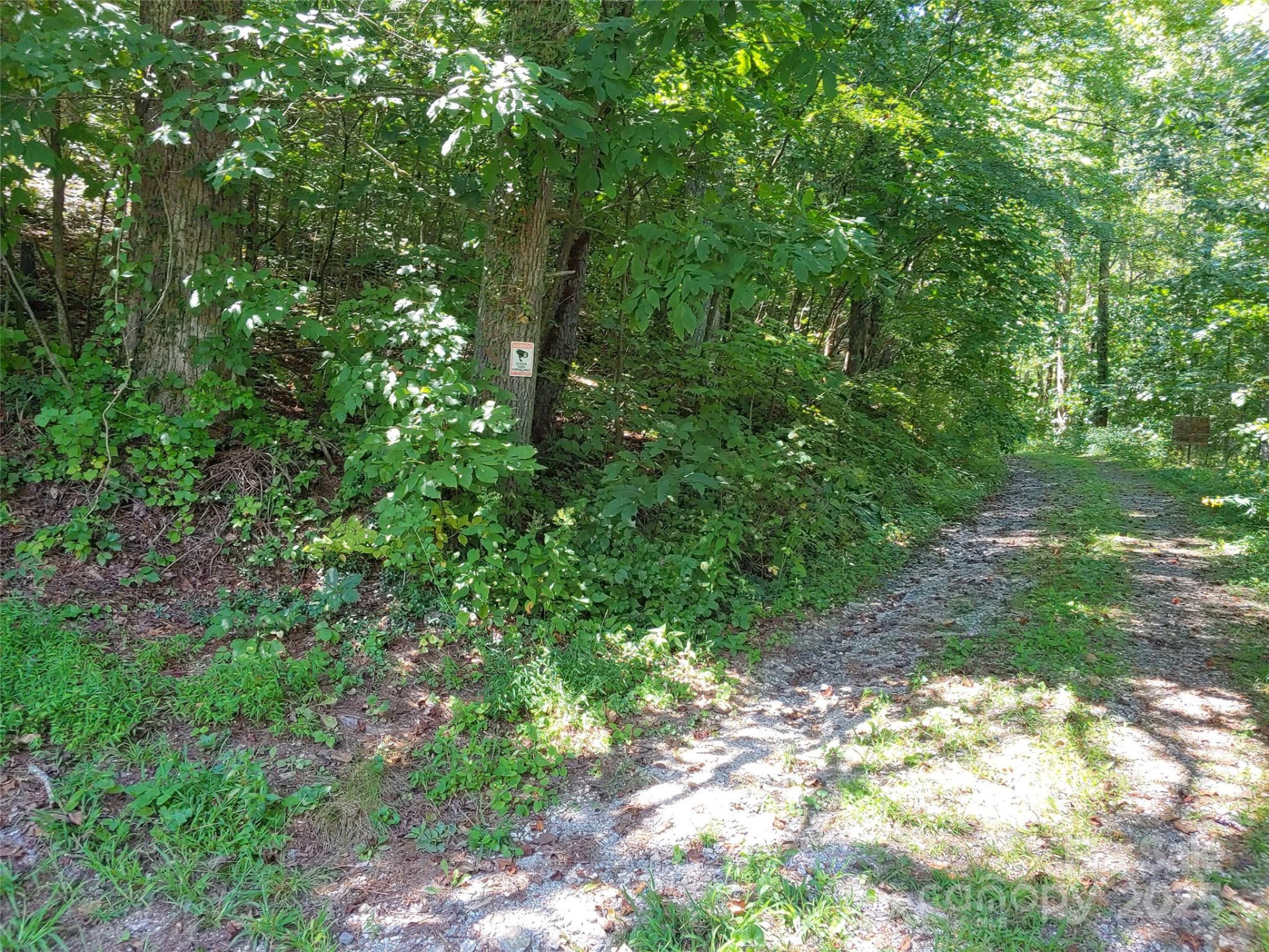 0000 Thomasville Lane - Photo 2