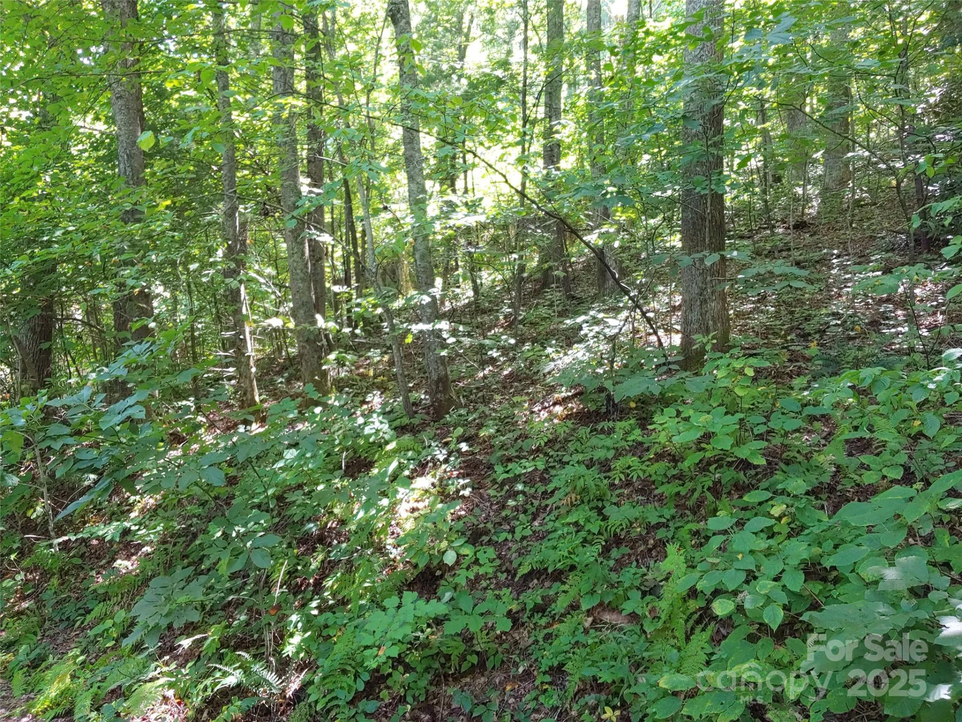 0000 Thomasville Lane - Photo 3