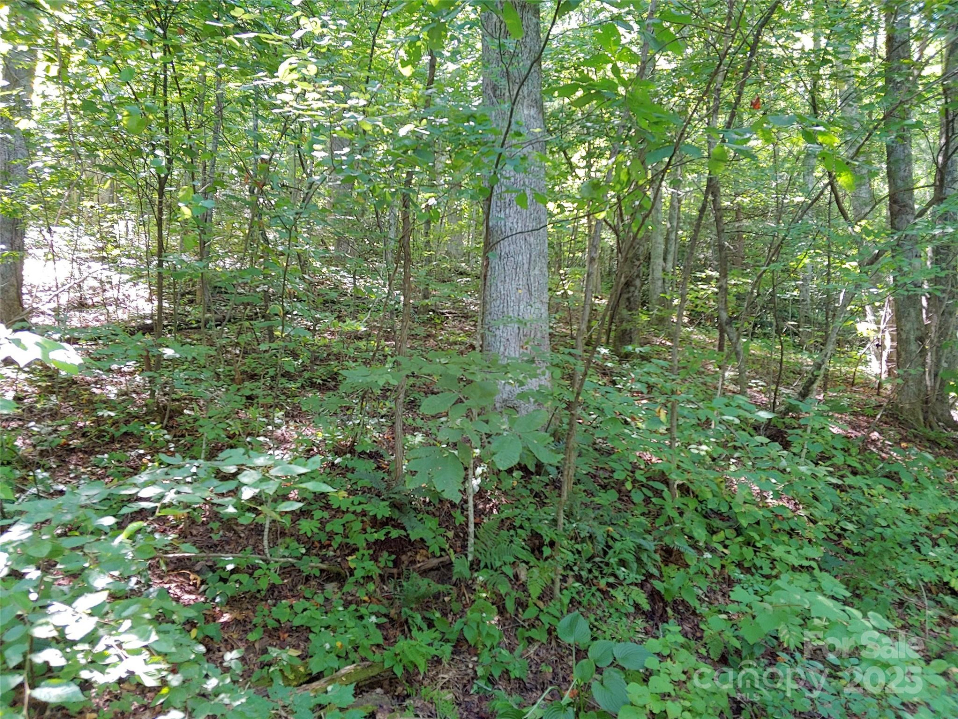 0000 Thomasville Lane - Photo 4