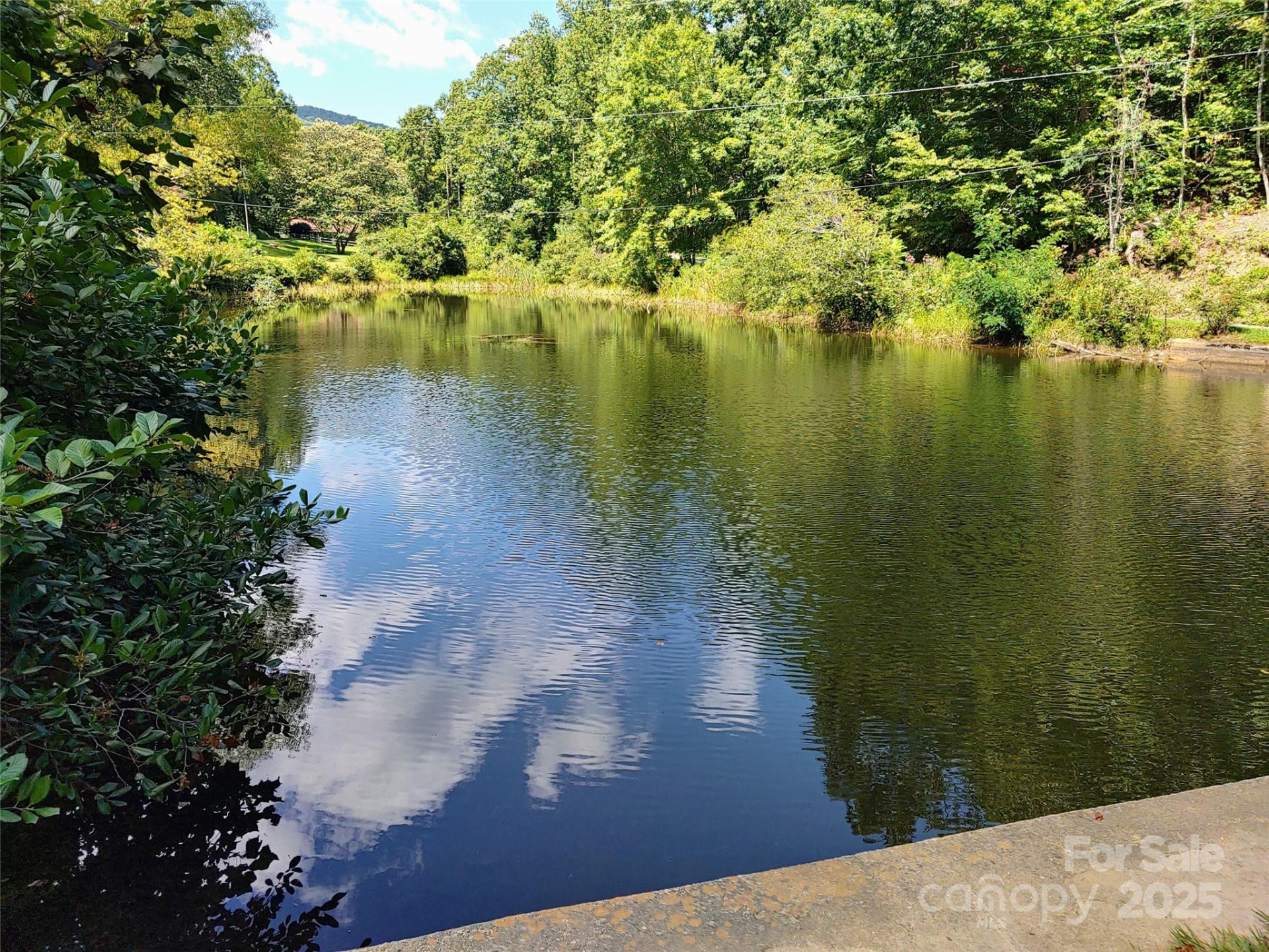 0000 Thomasville Lane - Photo 6