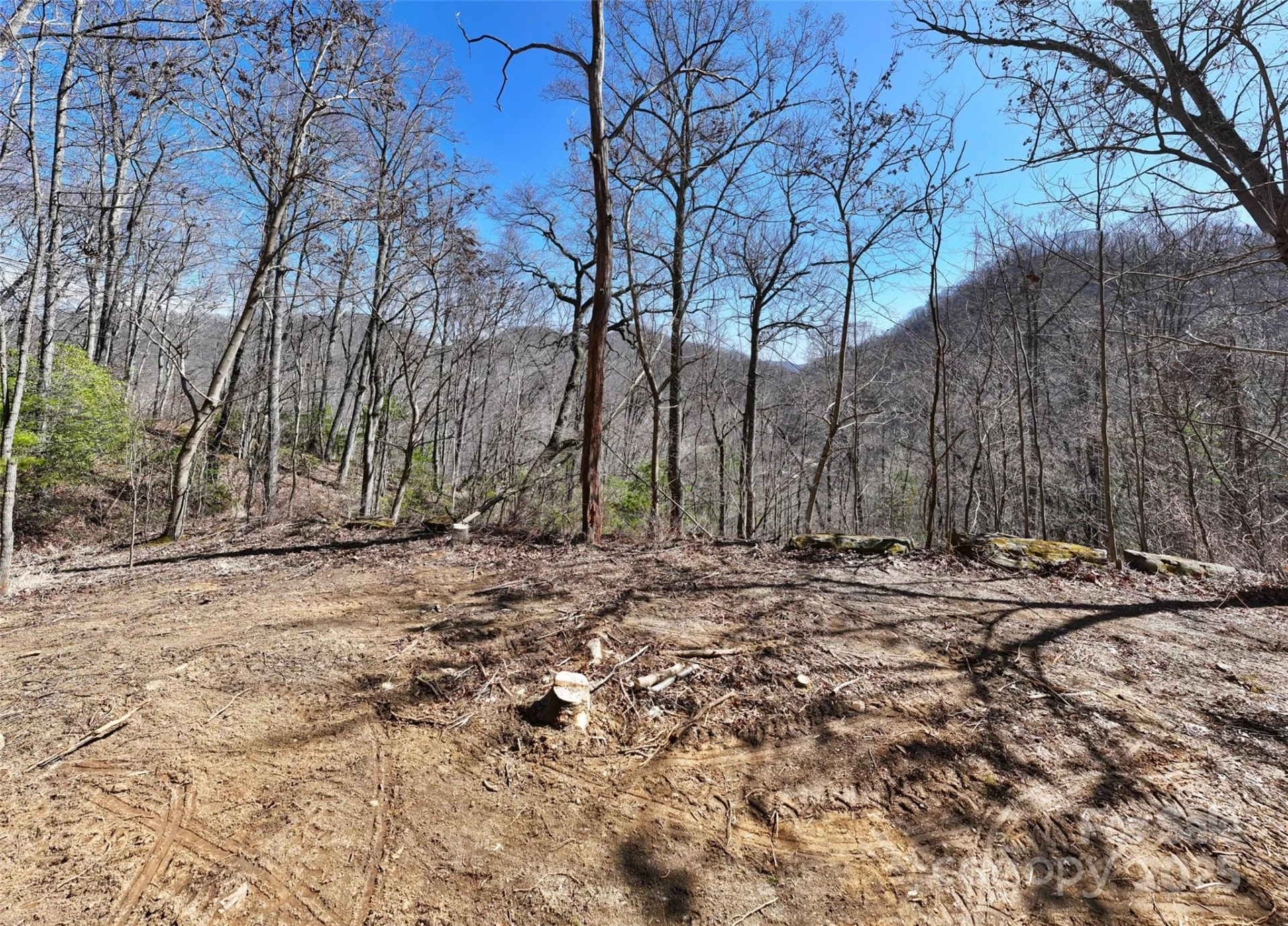 99999 Green Ridge Falls Road #17 - Photo 2