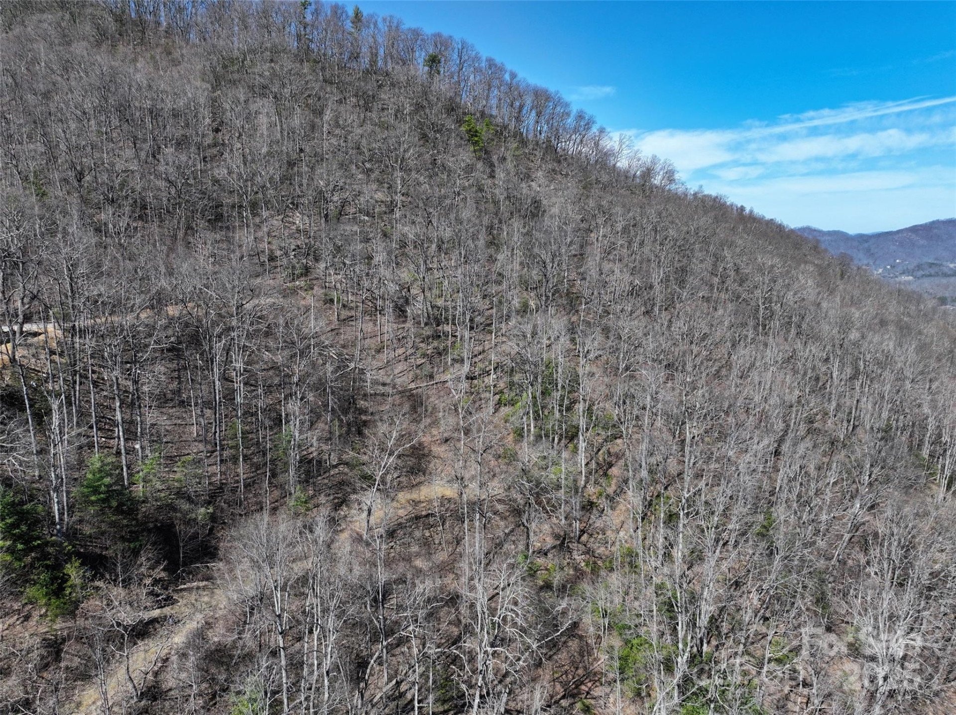 99999 Green Ridge Falls Road #17 - Photo 14