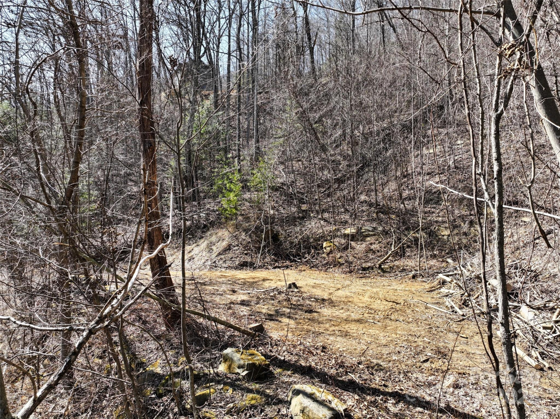 99999 Green Ridge Falls Road #17 - Photo 15