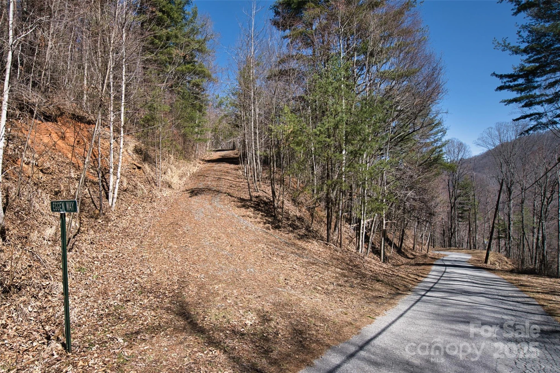 99999 Green Ridge Falls Road #17 - Photo 20