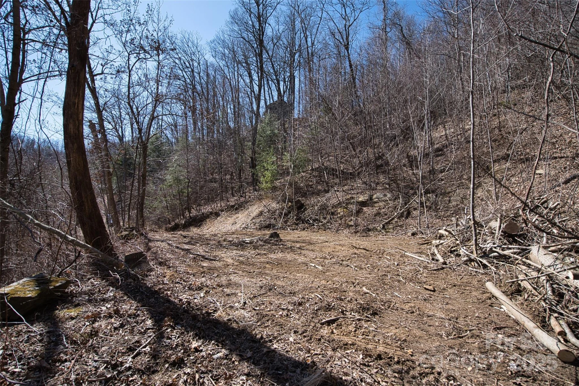 99999 Green Ridge Falls Road #17 - Photo 3