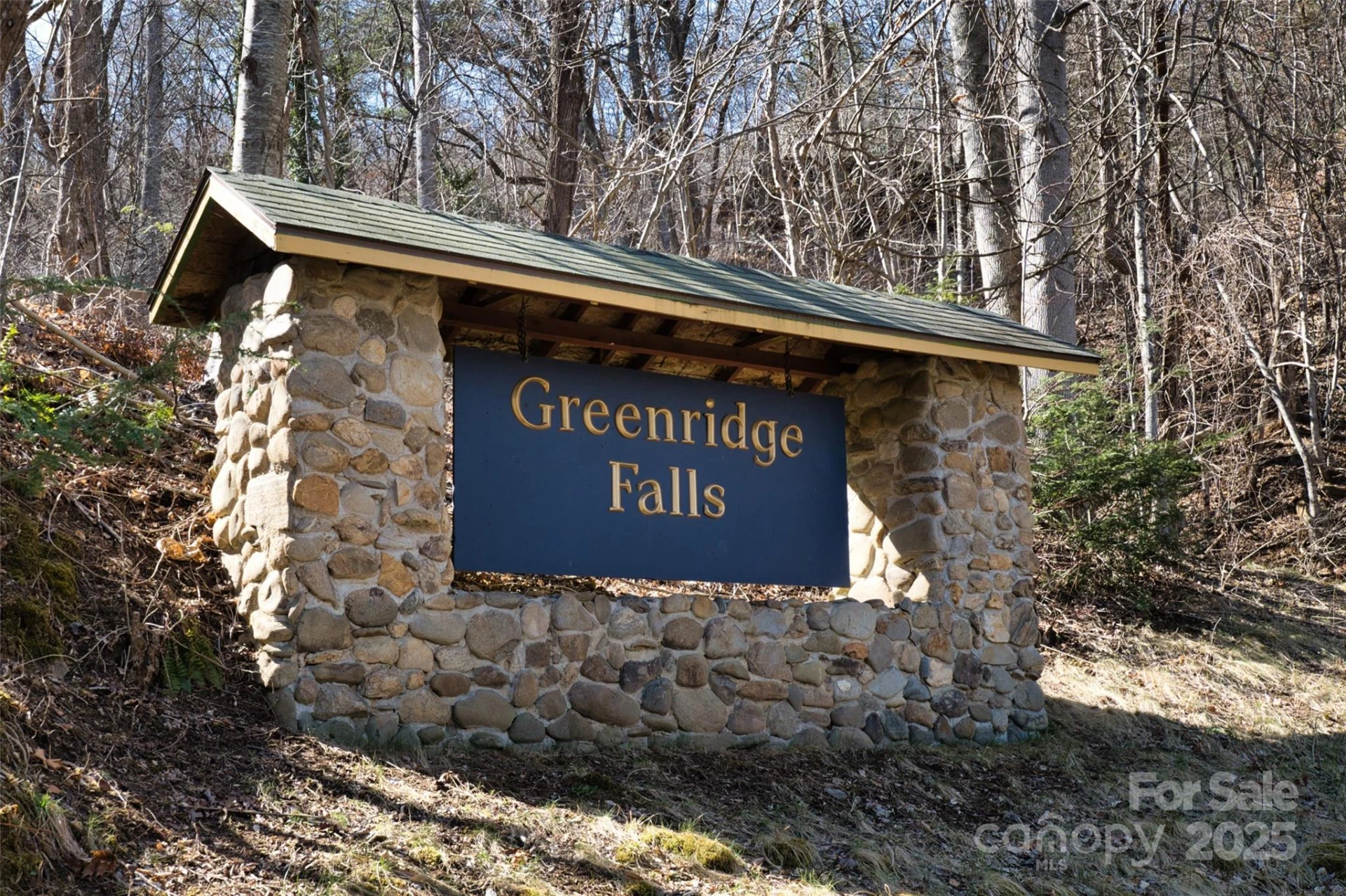 99999 Green Ridge Falls Road #17 - Photo 21