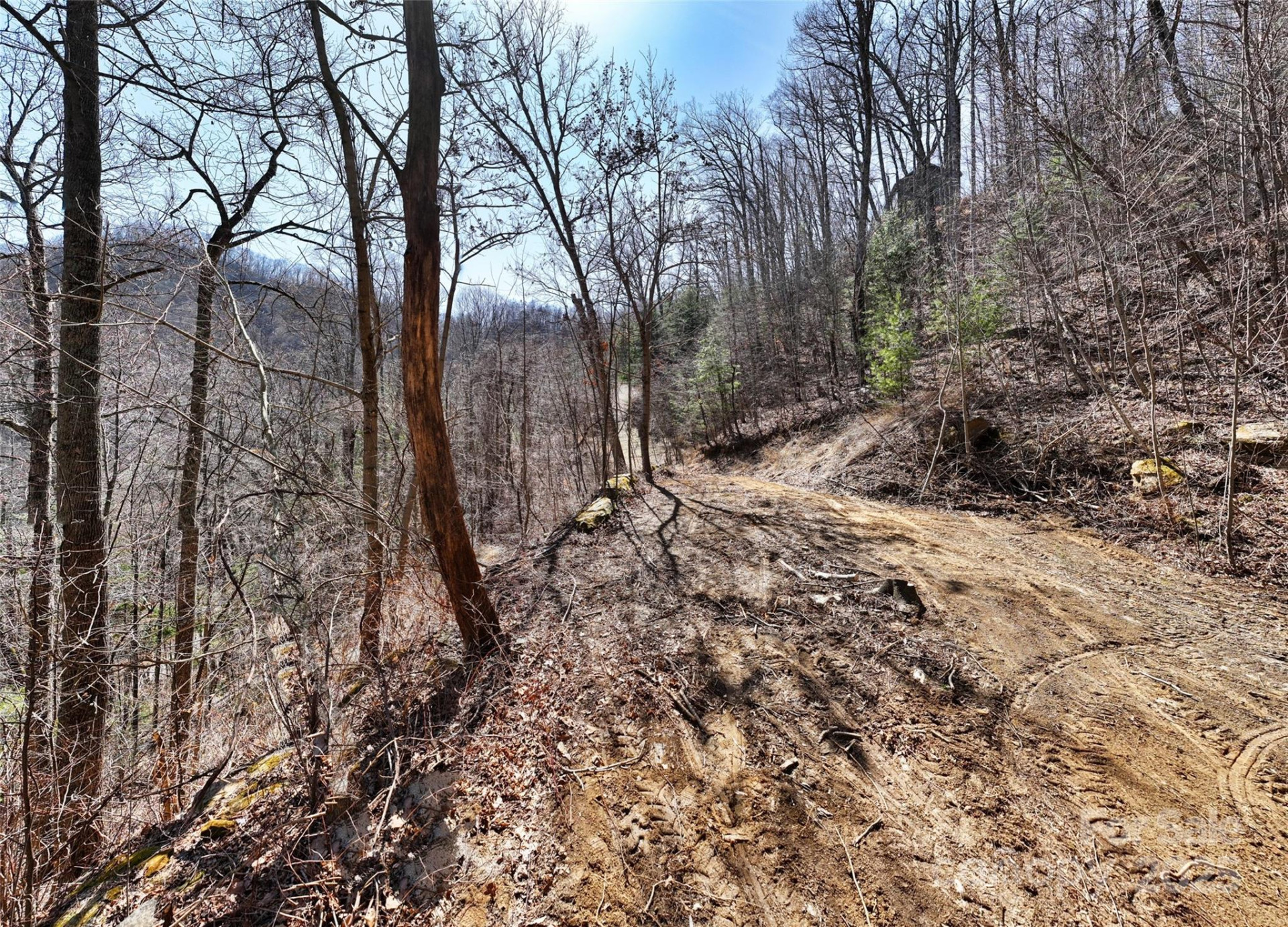 99999 Green Ridge Falls Road #17 - Photo 5