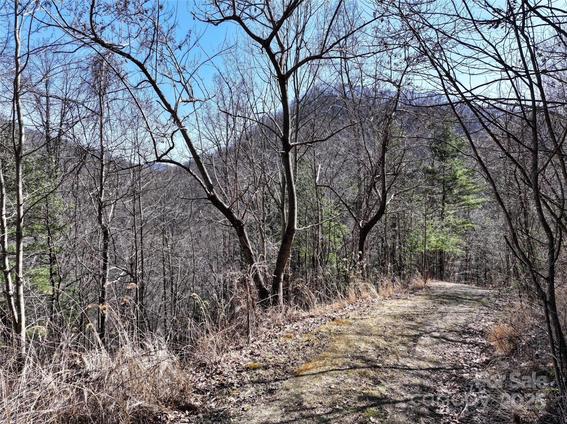 99999 Green Ridge Falls Road #17 - Photo 6