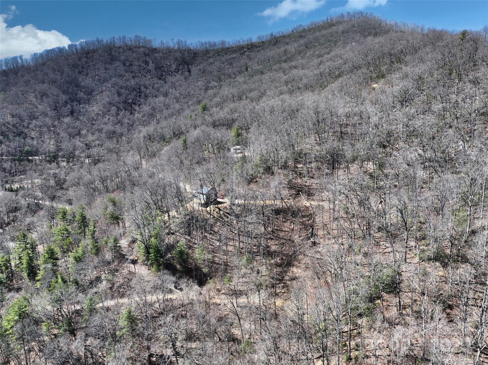 11 Taryn Trace #16 - Photo 2