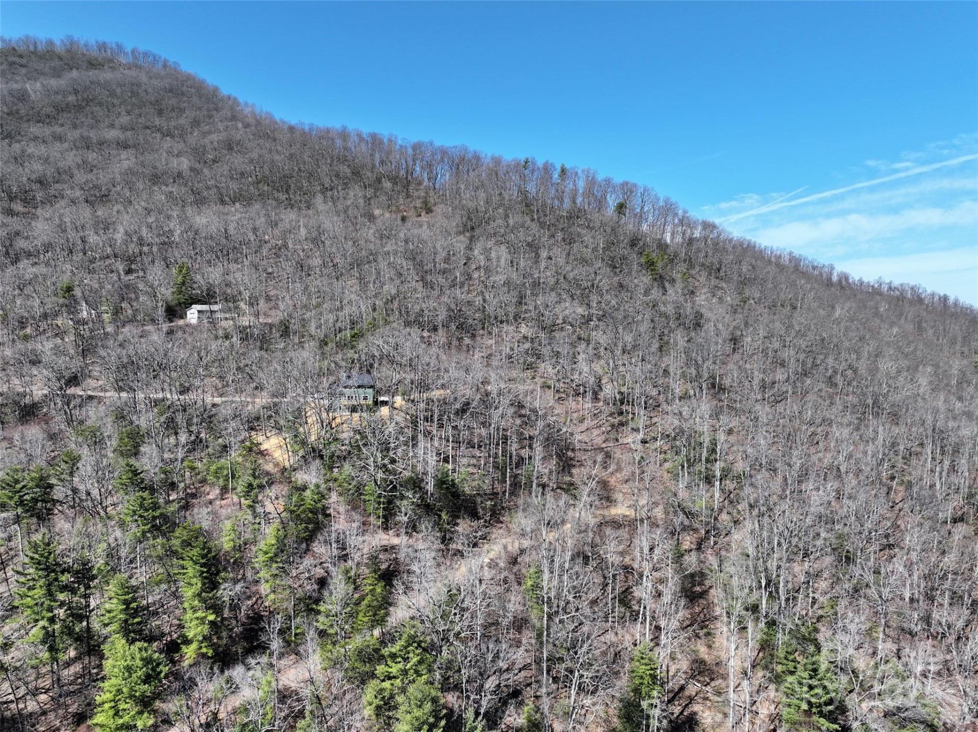 11 Taryn Trace #16 - Photo 4