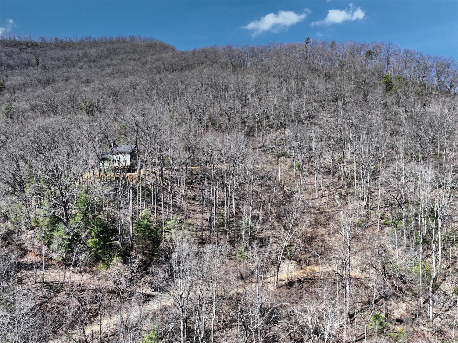 11 Taryn Trace #16 - Photo 5