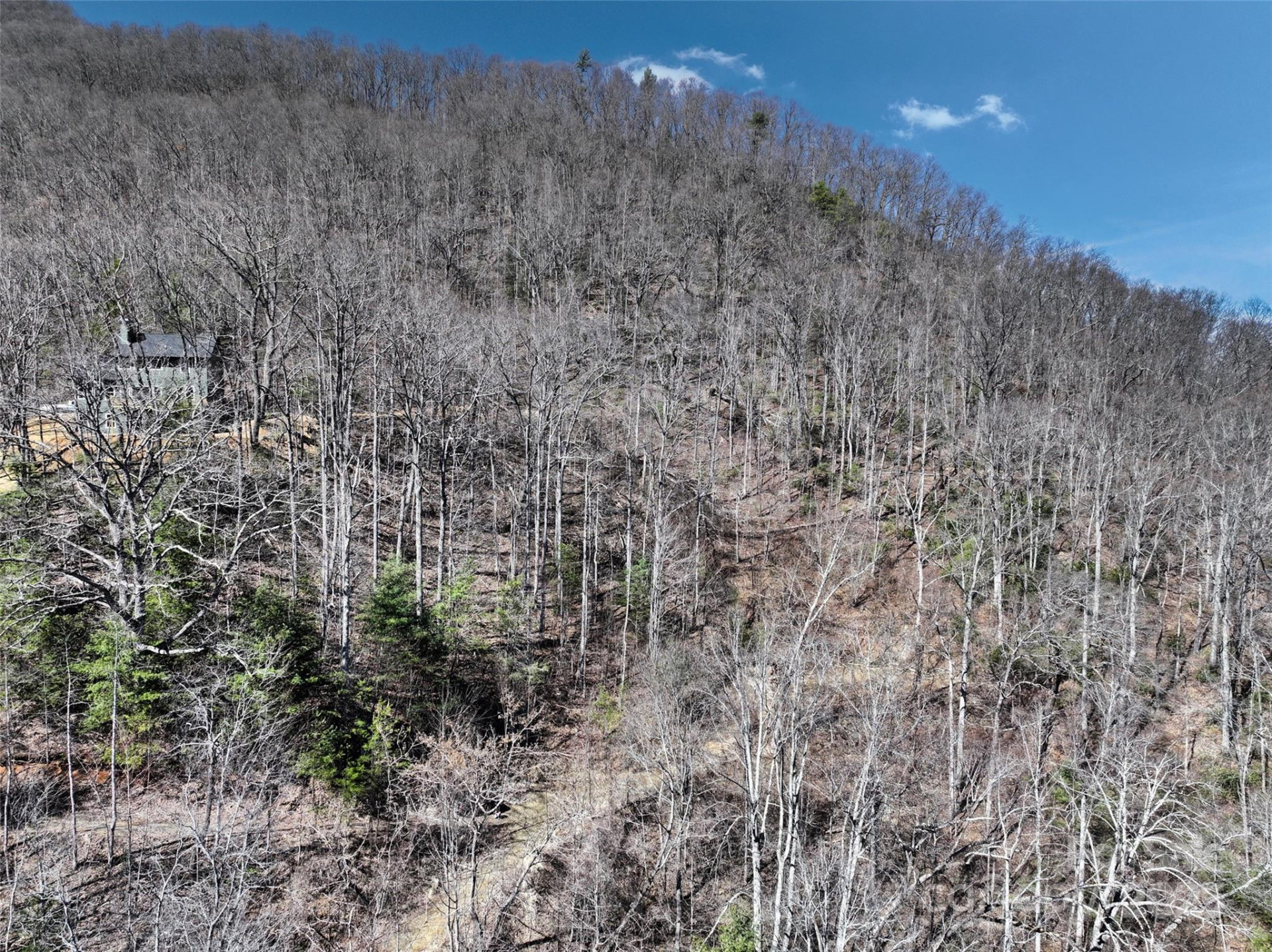 11 Taryn Trace #16 - Photo 6