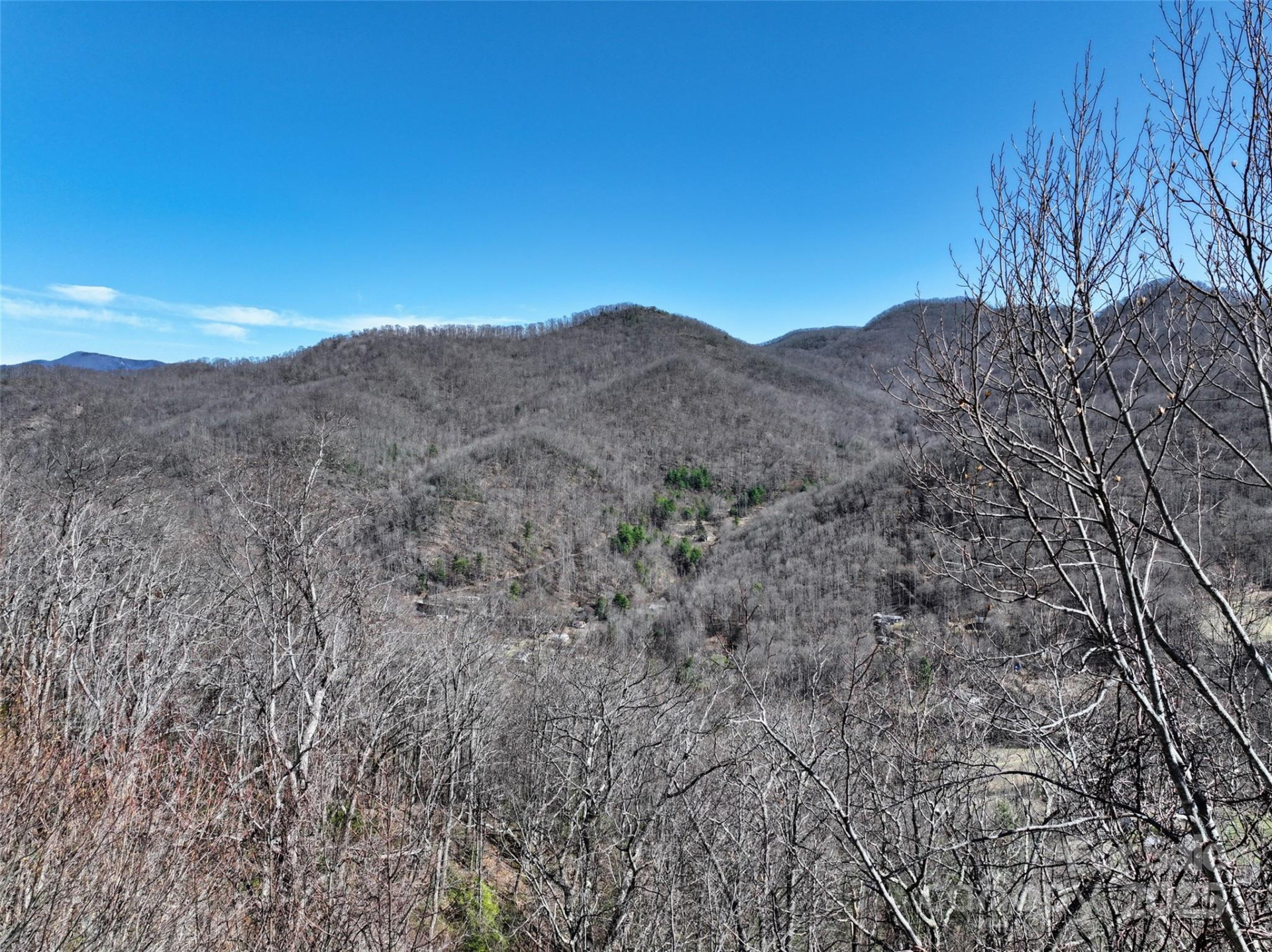 11 Taryn Trace #16 - Photo 7