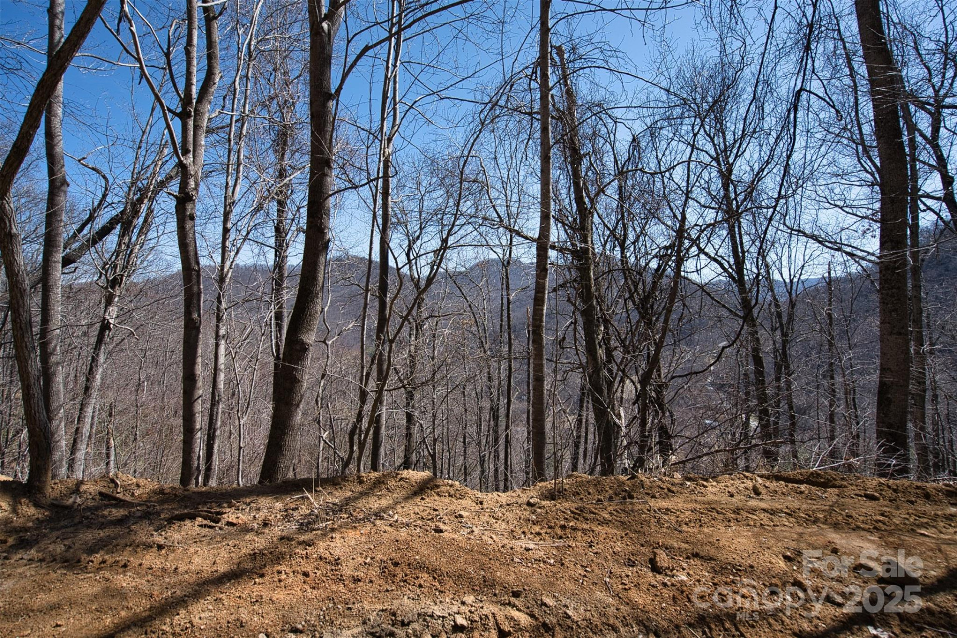 11 Taryn Trace #16 - Photo 9