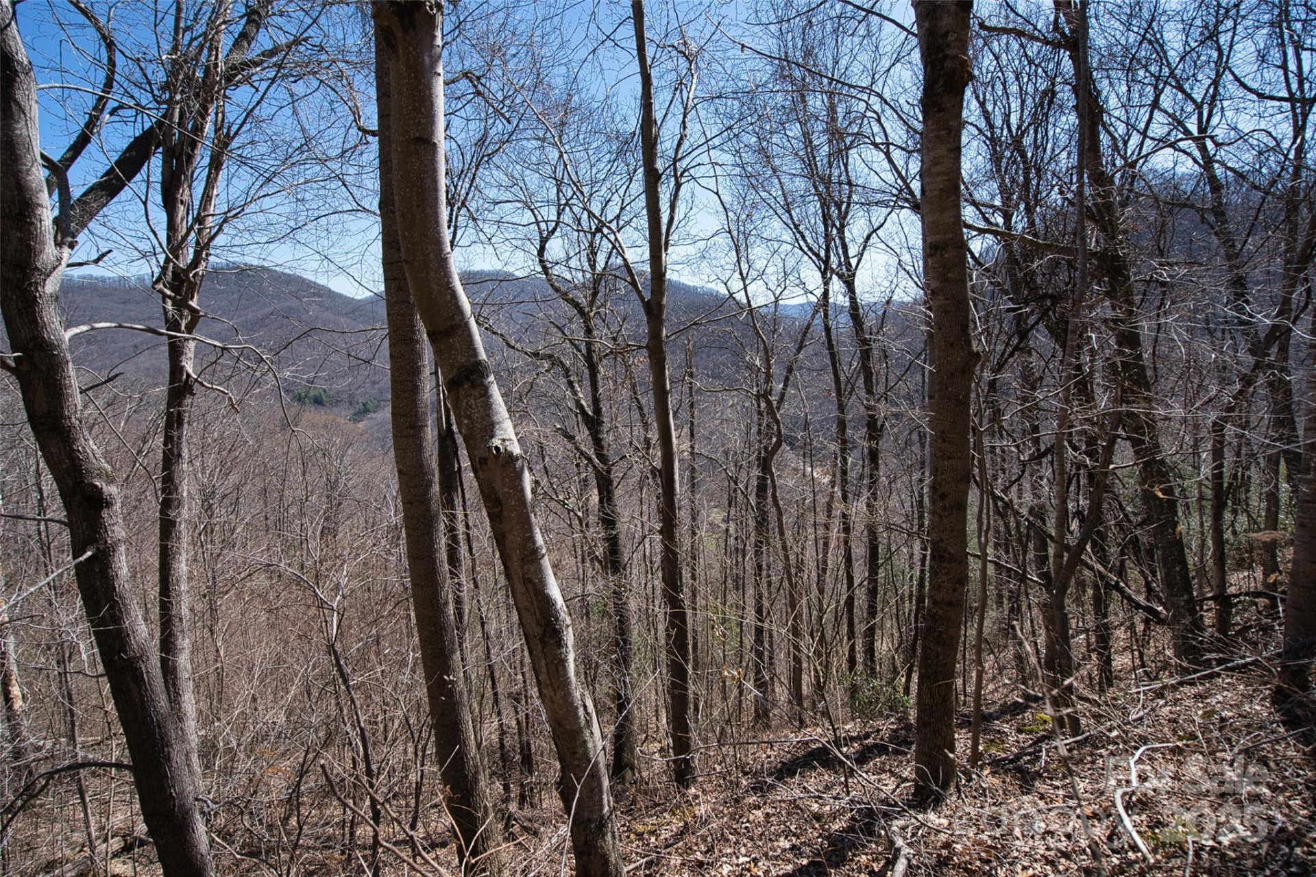 11 Taryn Trace #16 - Photo 10