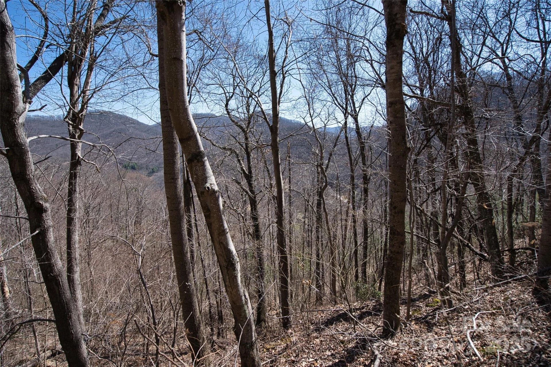 11 Taryn Trace #16 - Photo 10