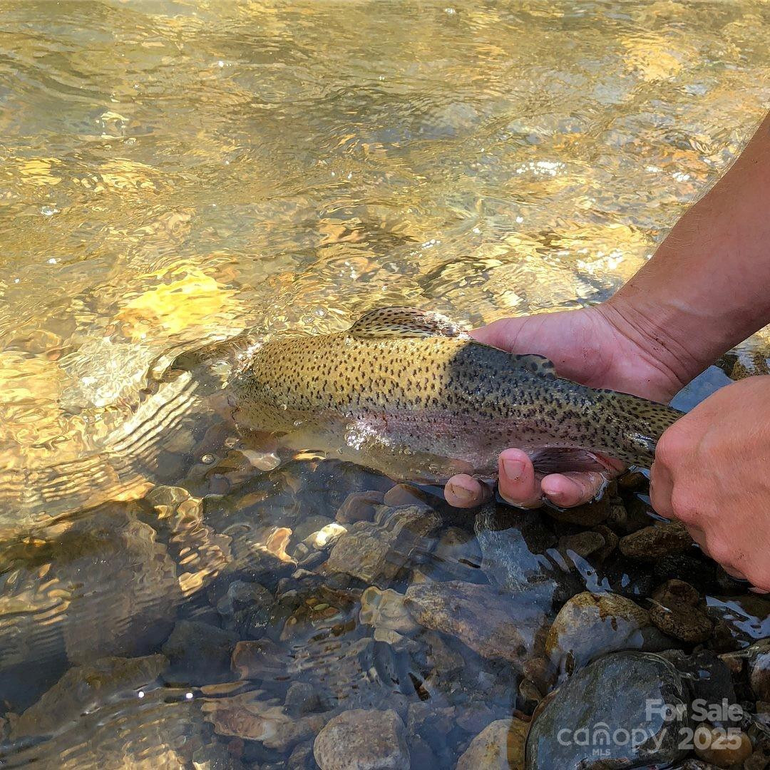 000 Pumpkin Patch Road - Photo 2