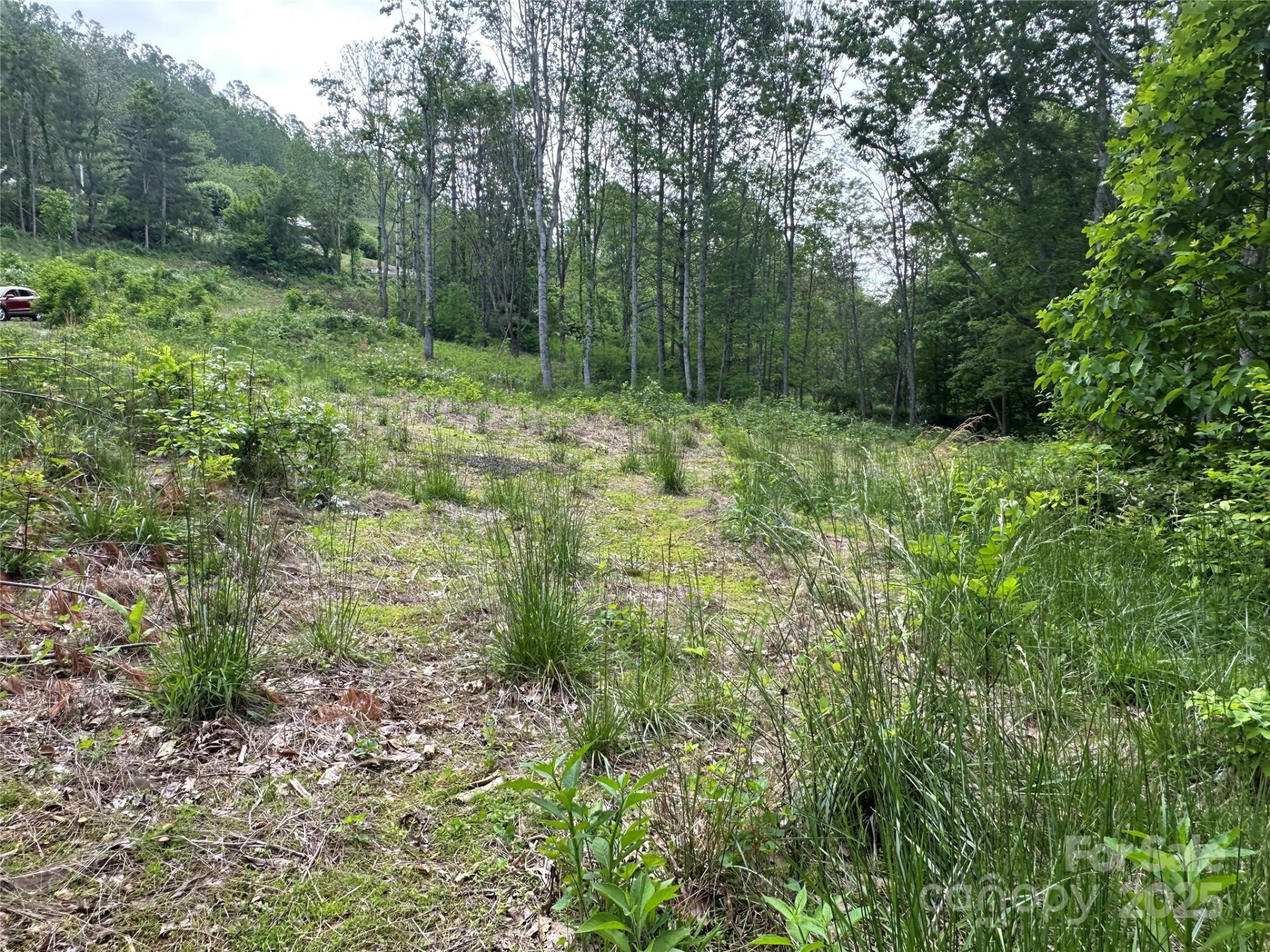 000 Pumpkin Patch Road - Photo 11