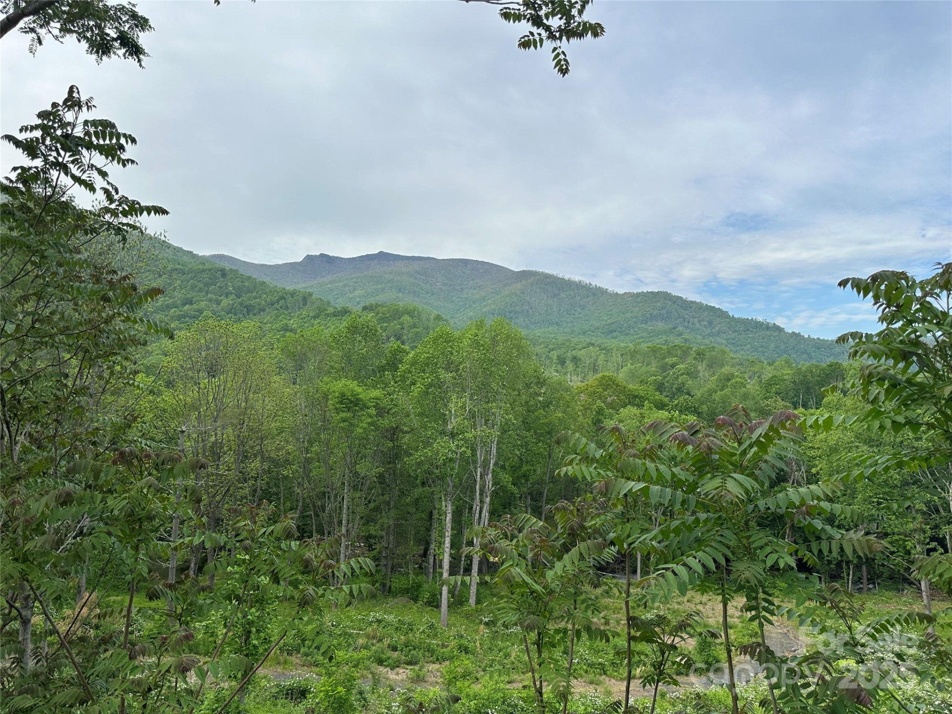 000 Pumpkin Patch Road - Photo 14