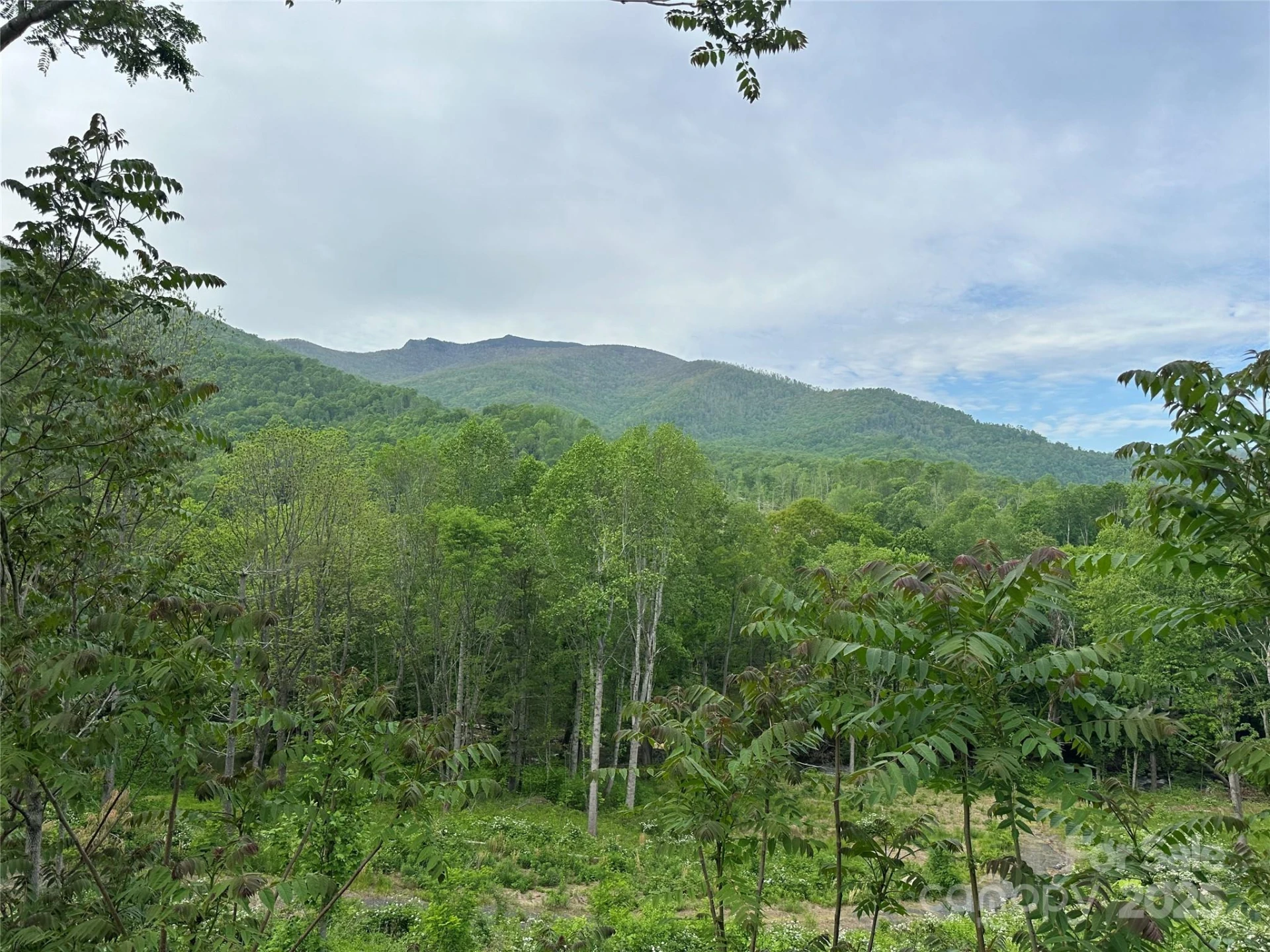 000 Pumpkin Patch Road - Photo 14