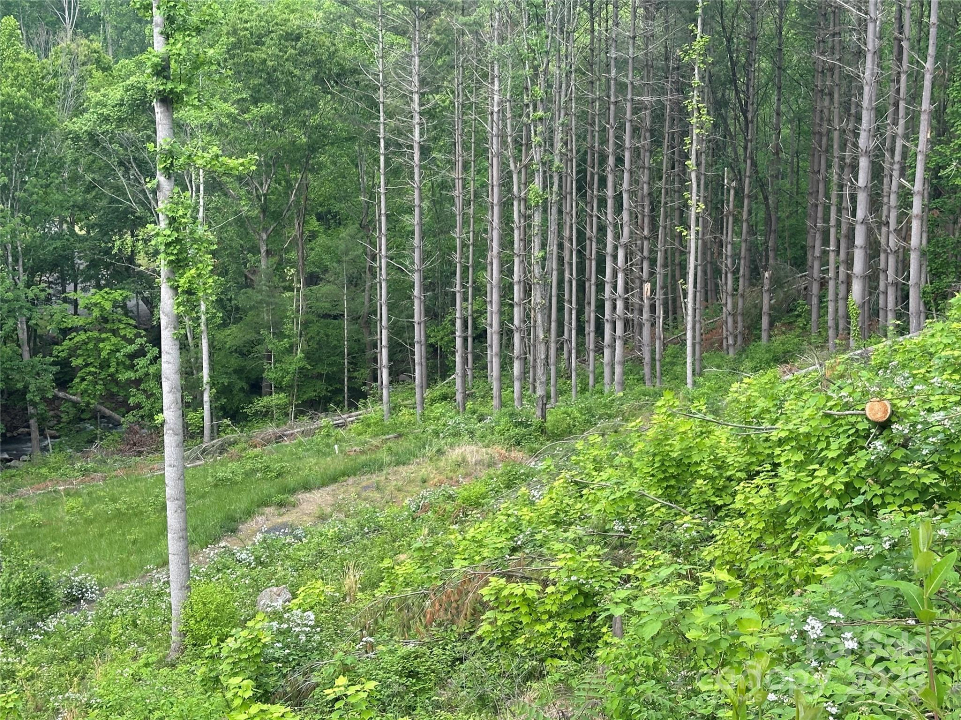 000 Pumpkin Patch Road - Photo 17