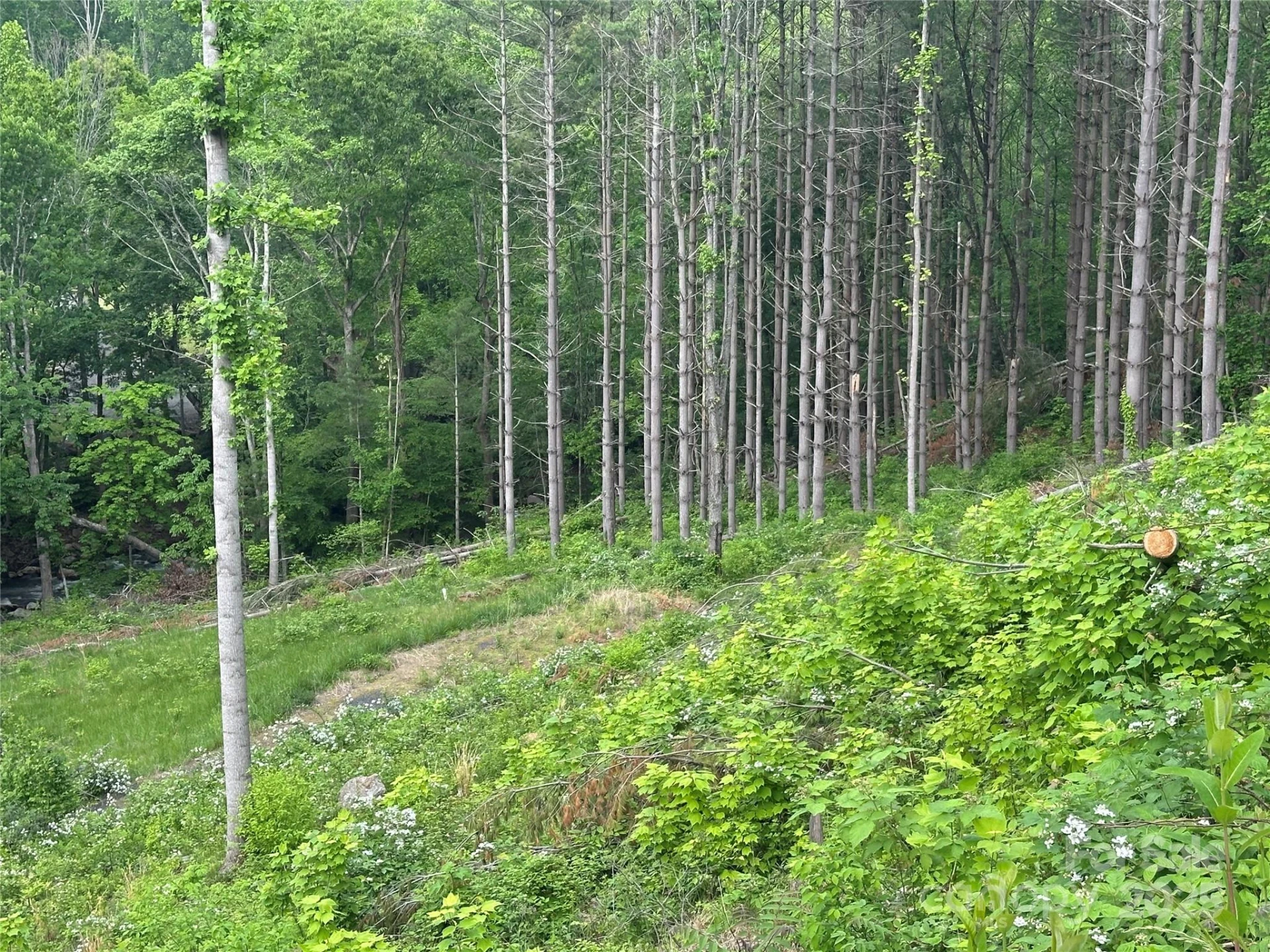 000 Pumpkin Patch Road - Photo 17