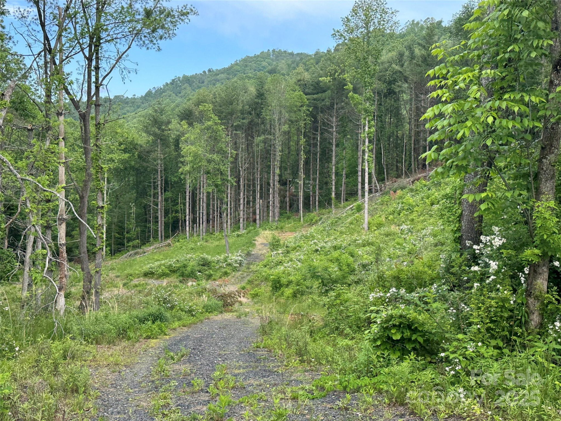 000 Pumpkin Patch Road - Photo 18