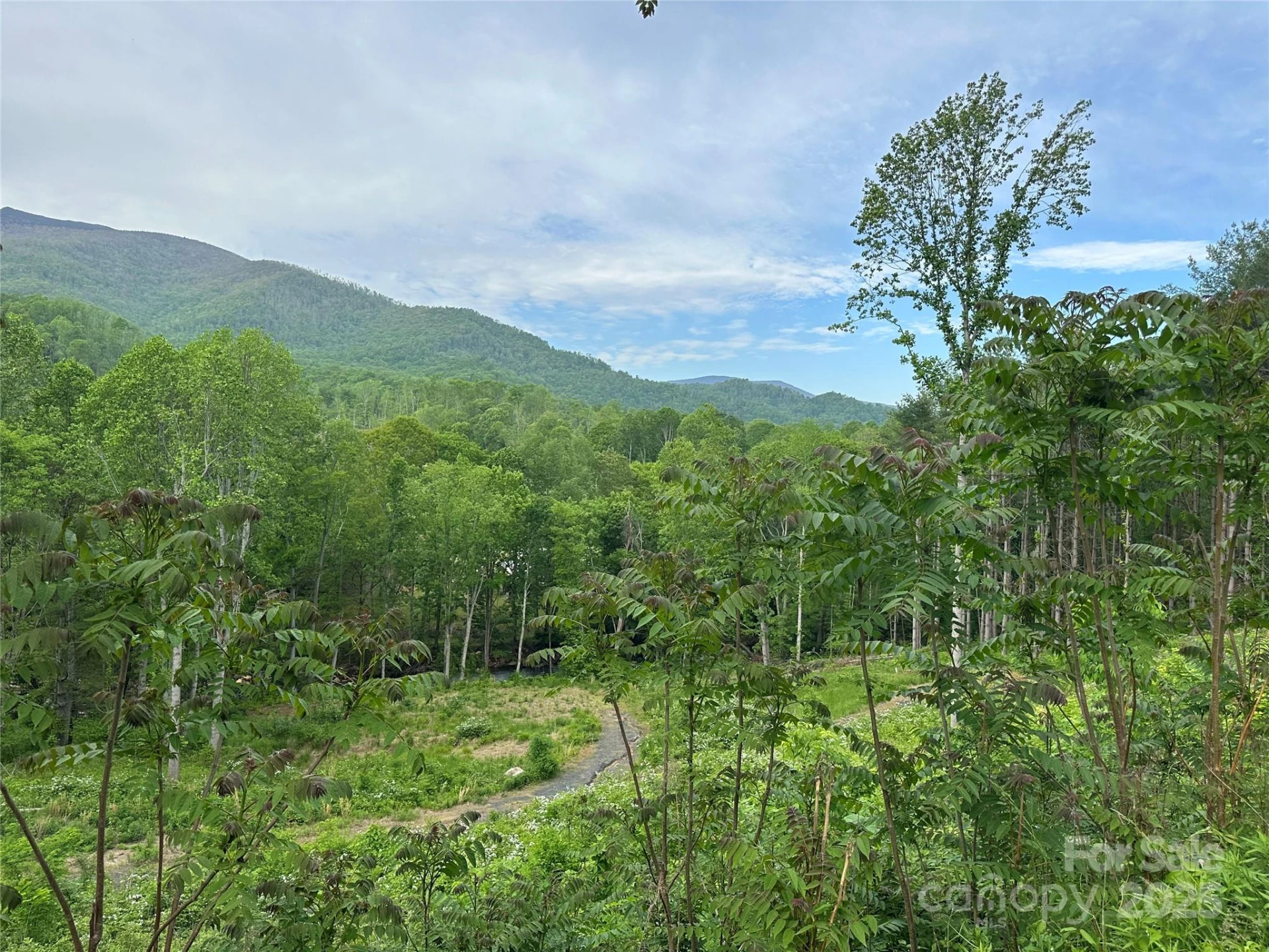 000 Pumpkin Patch Road - Photo 19