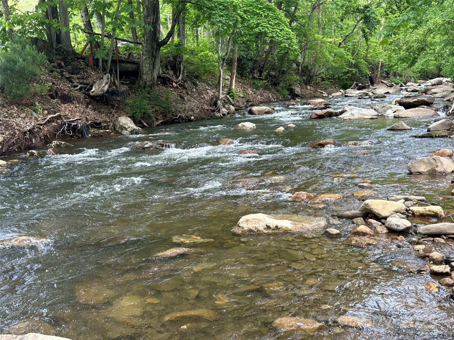 000 Pumpkin Patch Road - Photo 3