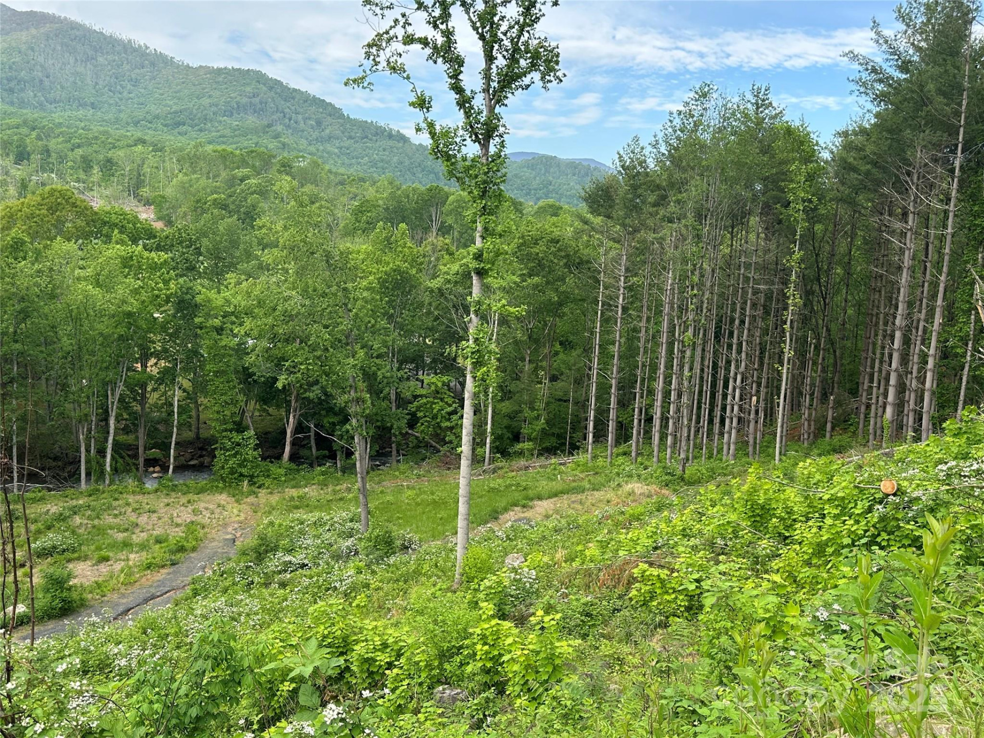 000 Pumpkin Patch Road - Photo 21