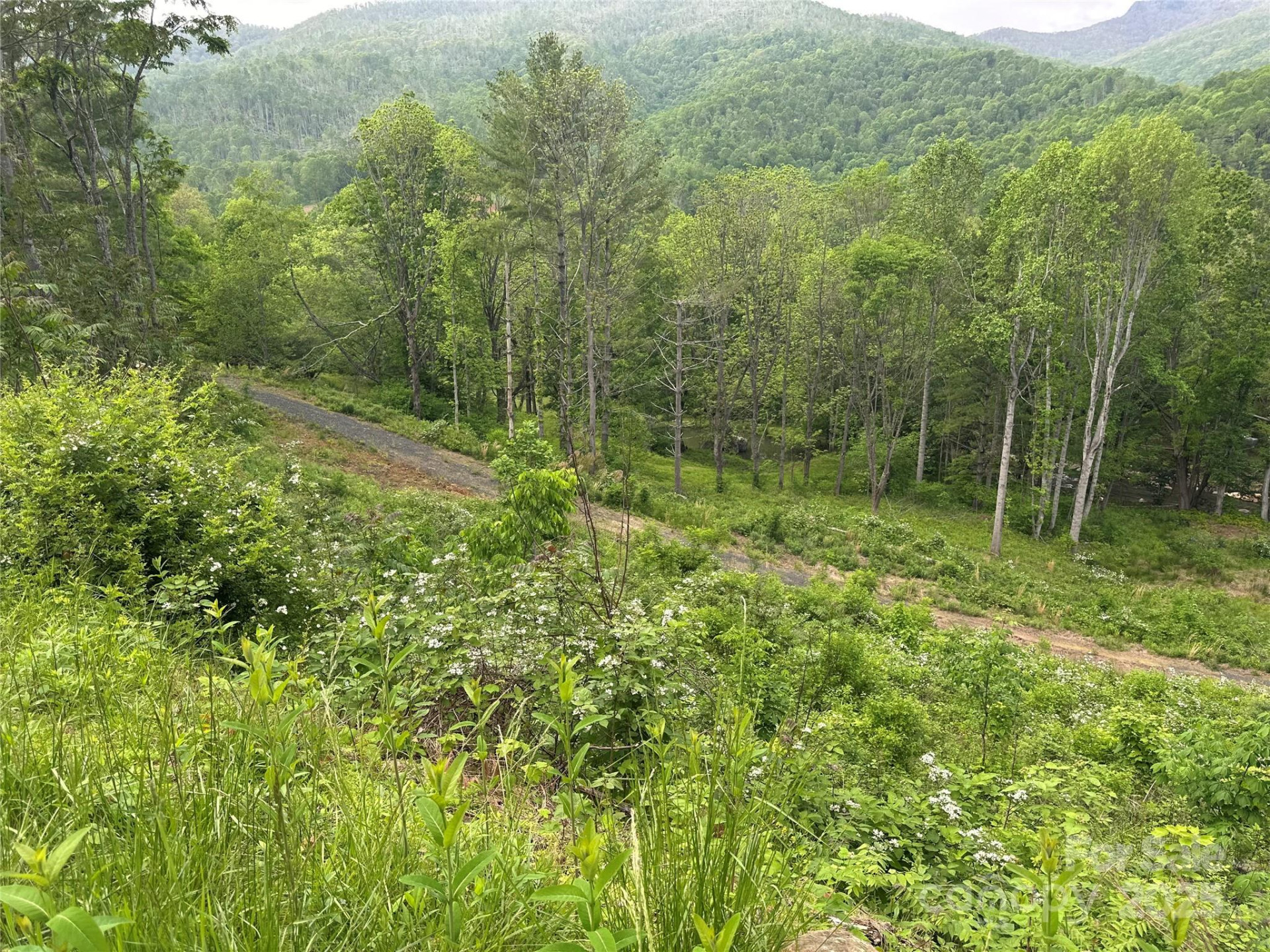 000 Pumpkin Patch Road - Photo 22