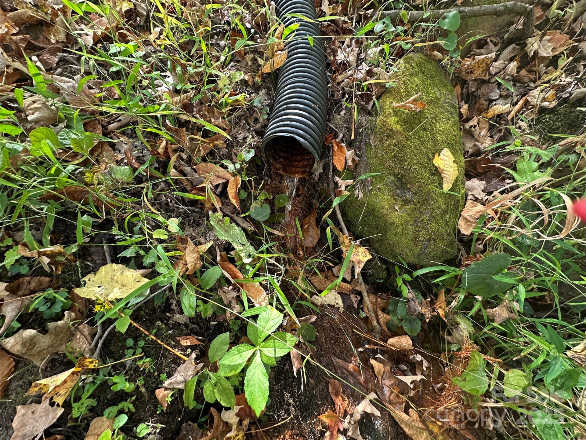 000 Pumpkin Patch Road - Photo 26