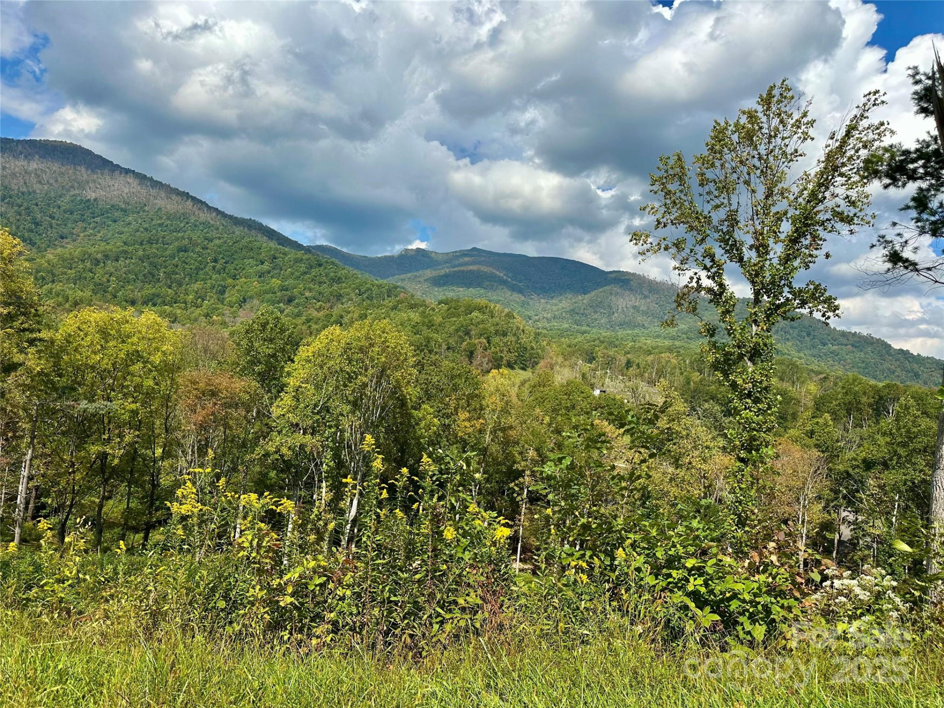 000 Pumpkin Patch Road - Photo 4