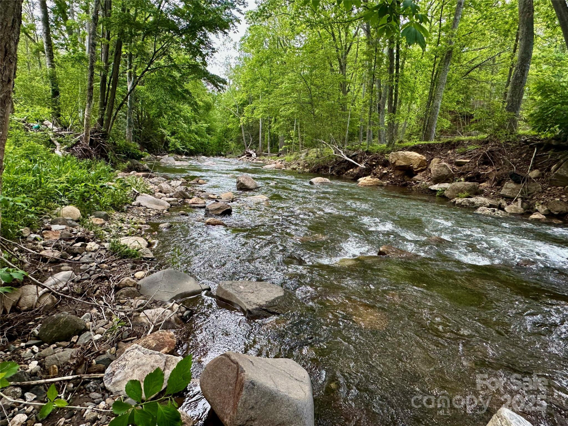 000 Pumpkin Patch Road - Photo 31