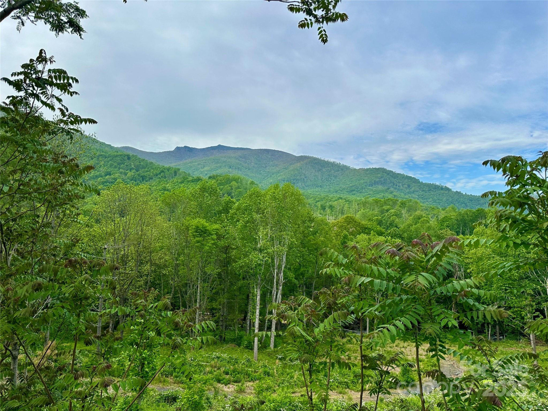 000 Pumpkin Patch Road - Photo 33