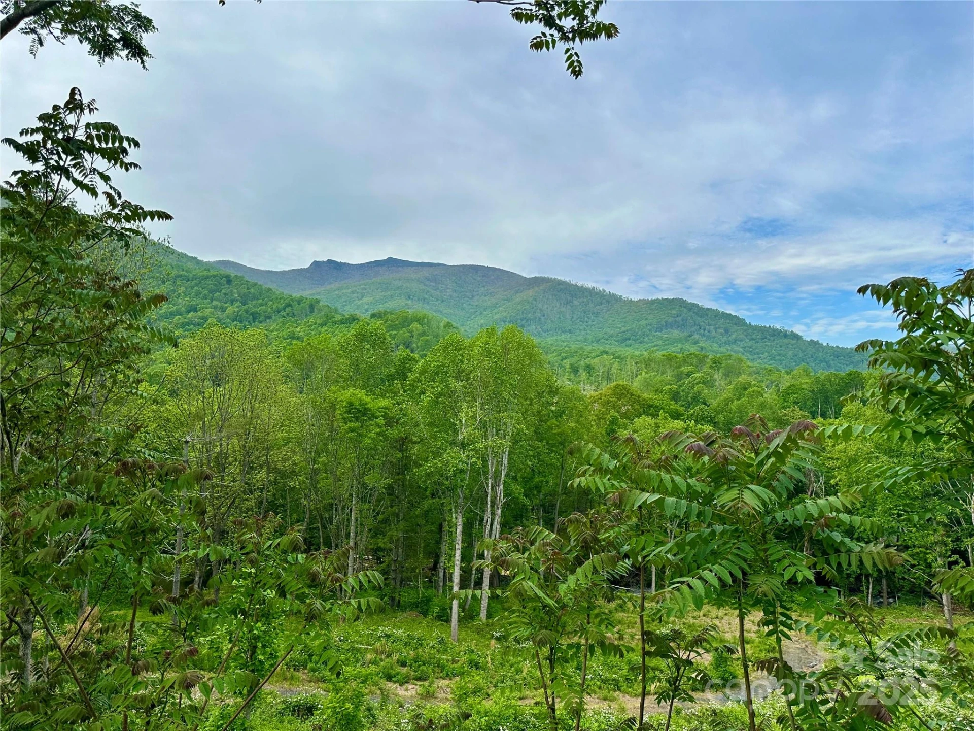 000 Pumpkin Patch Road - Photo 33