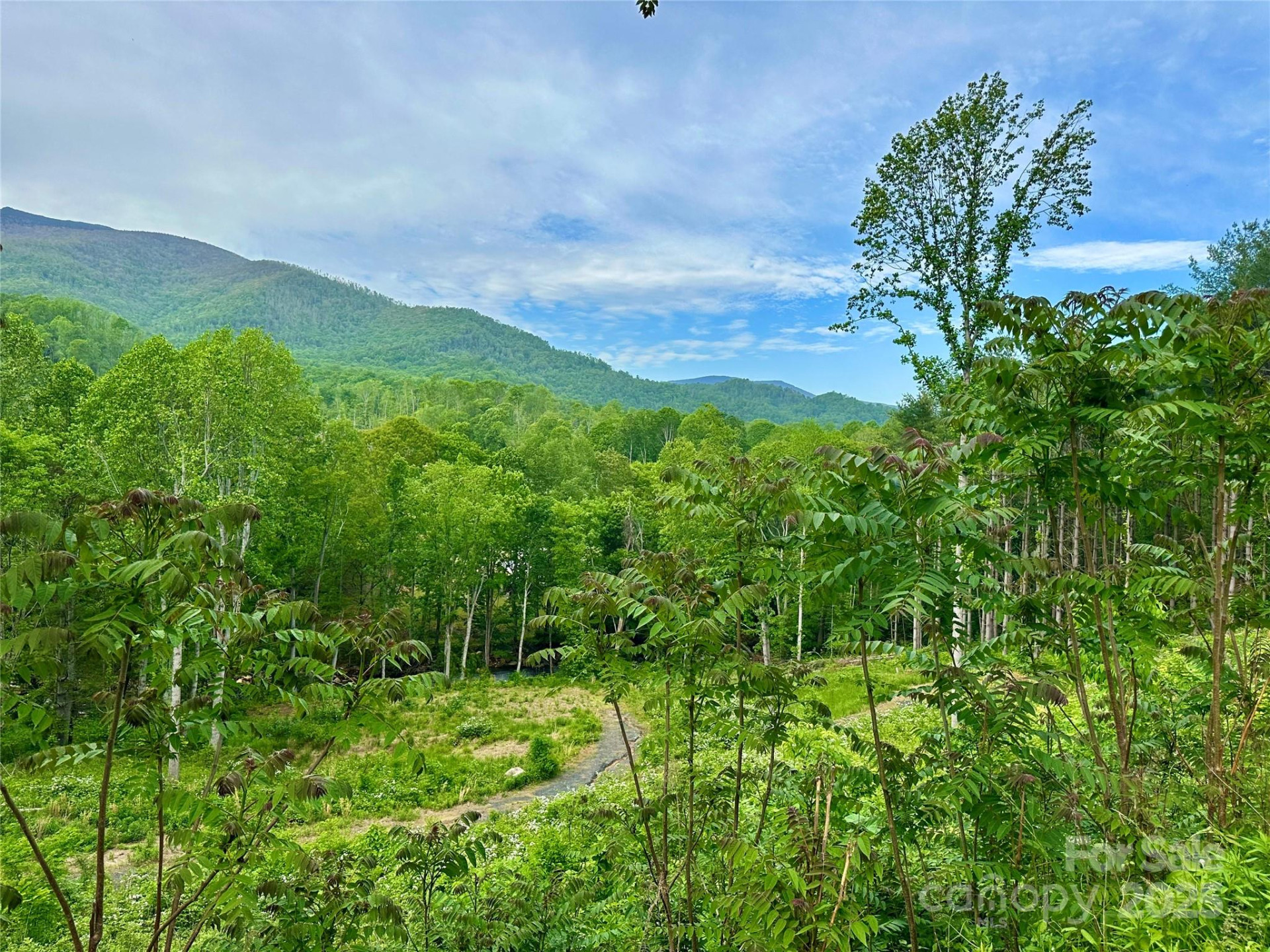 000 Pumpkin Patch Road - Photo 34