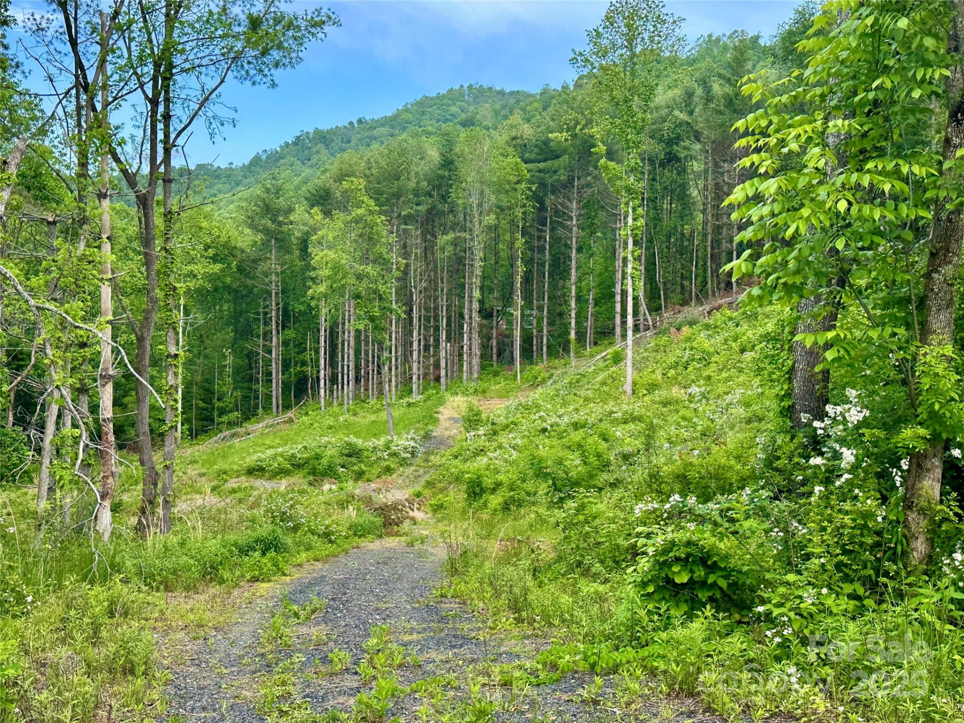 000 Pumpkin Patch Road - Photo 35