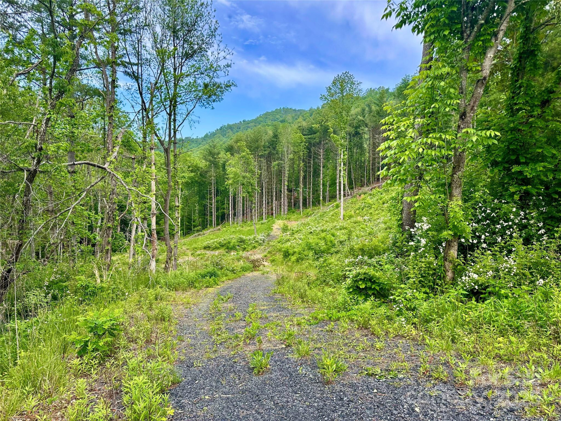 000 Pumpkin Patch Road - Photo 36
