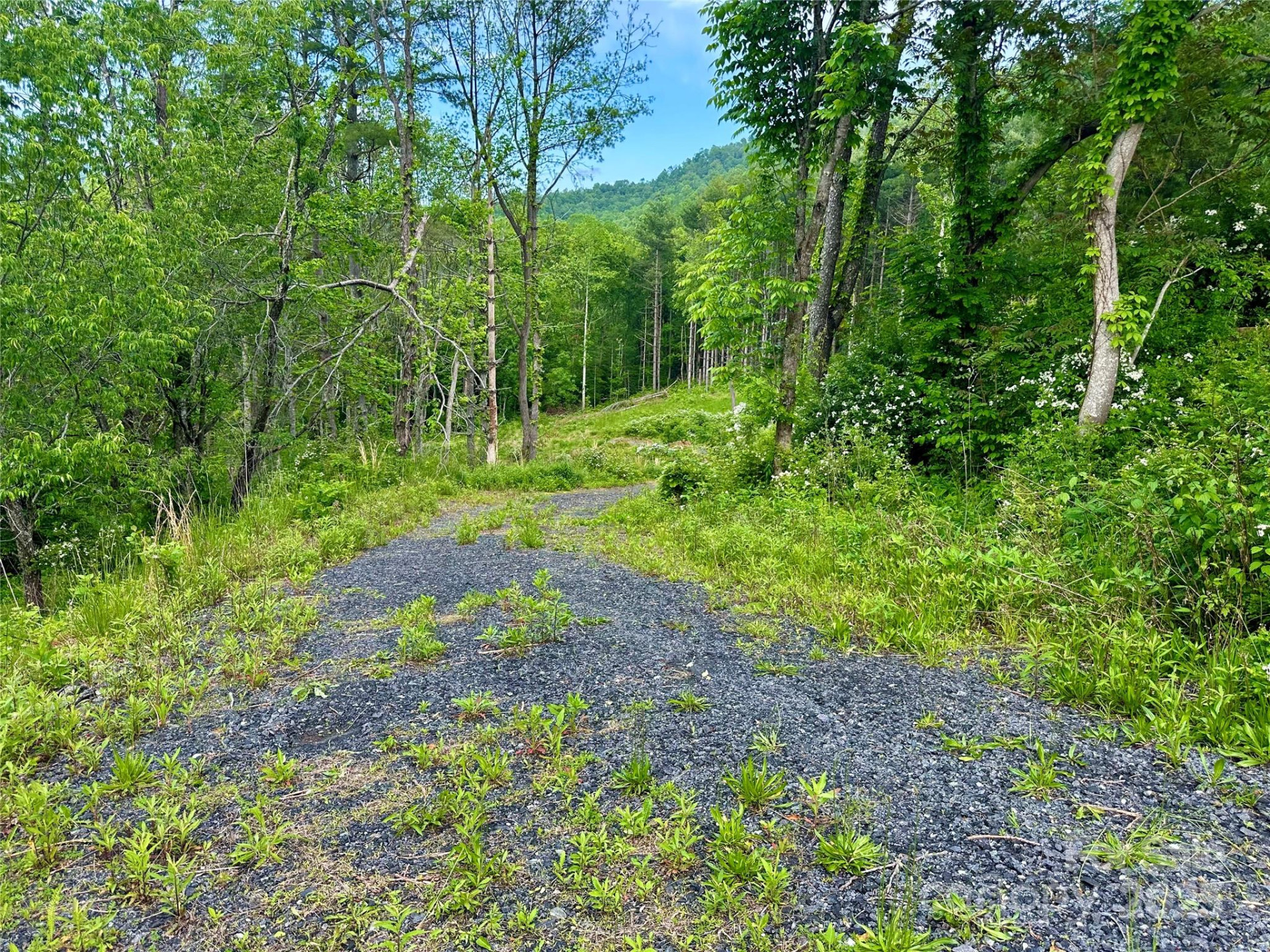 000 Pumpkin Patch Road - Photo 37