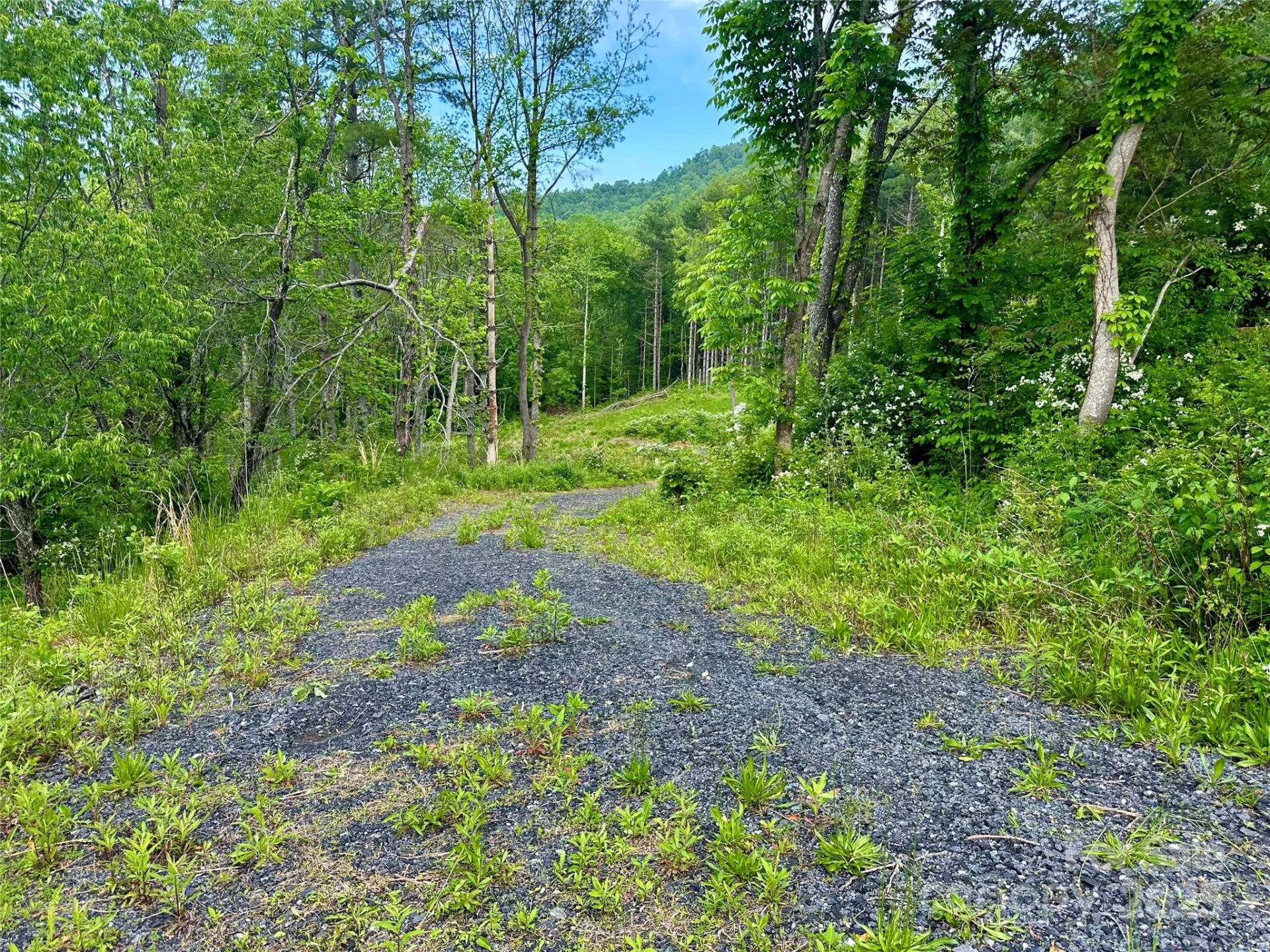 000 Pumpkin Patch Road - Photo 37