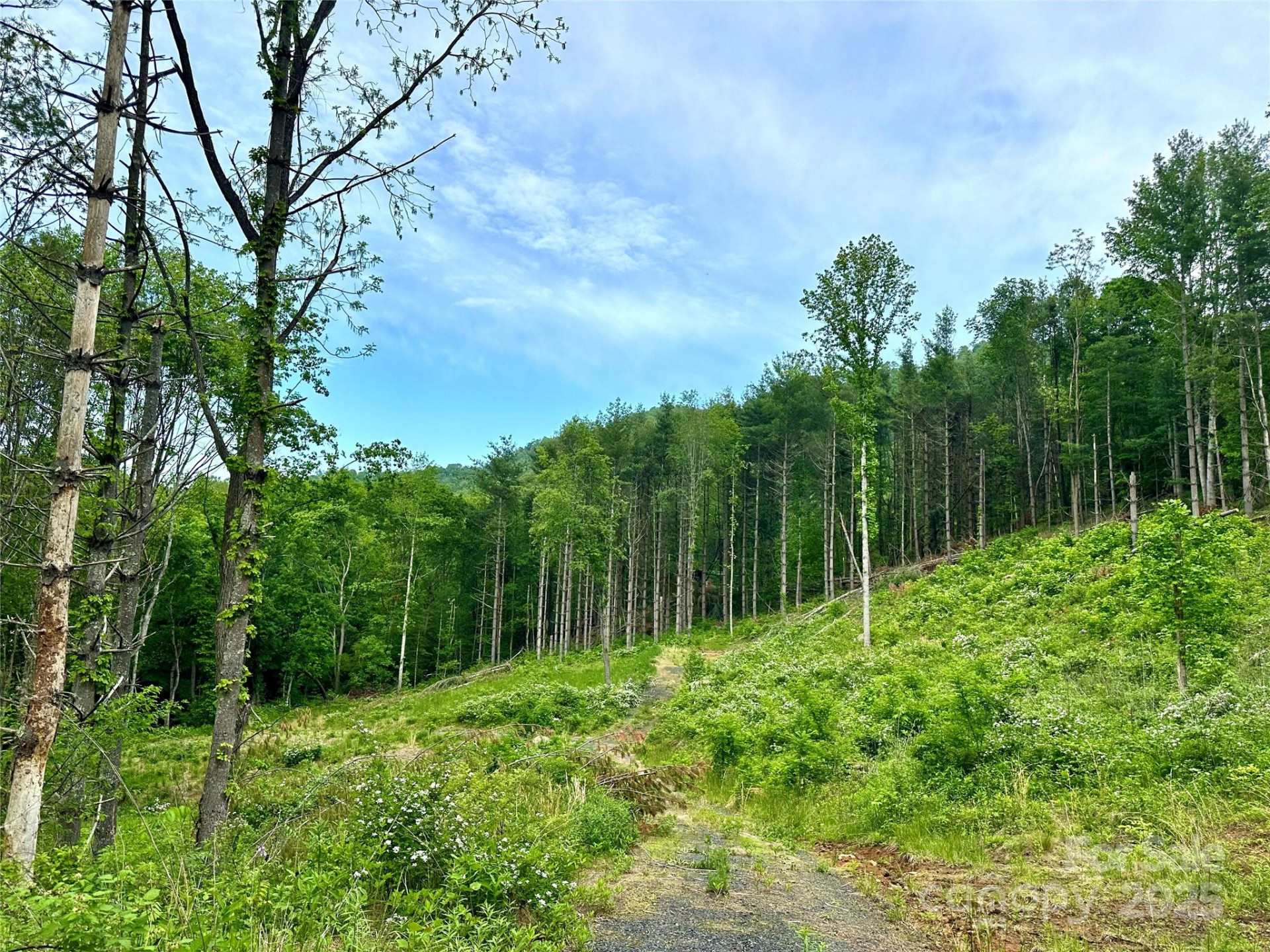 000 Pumpkin Patch Road - Photo 38