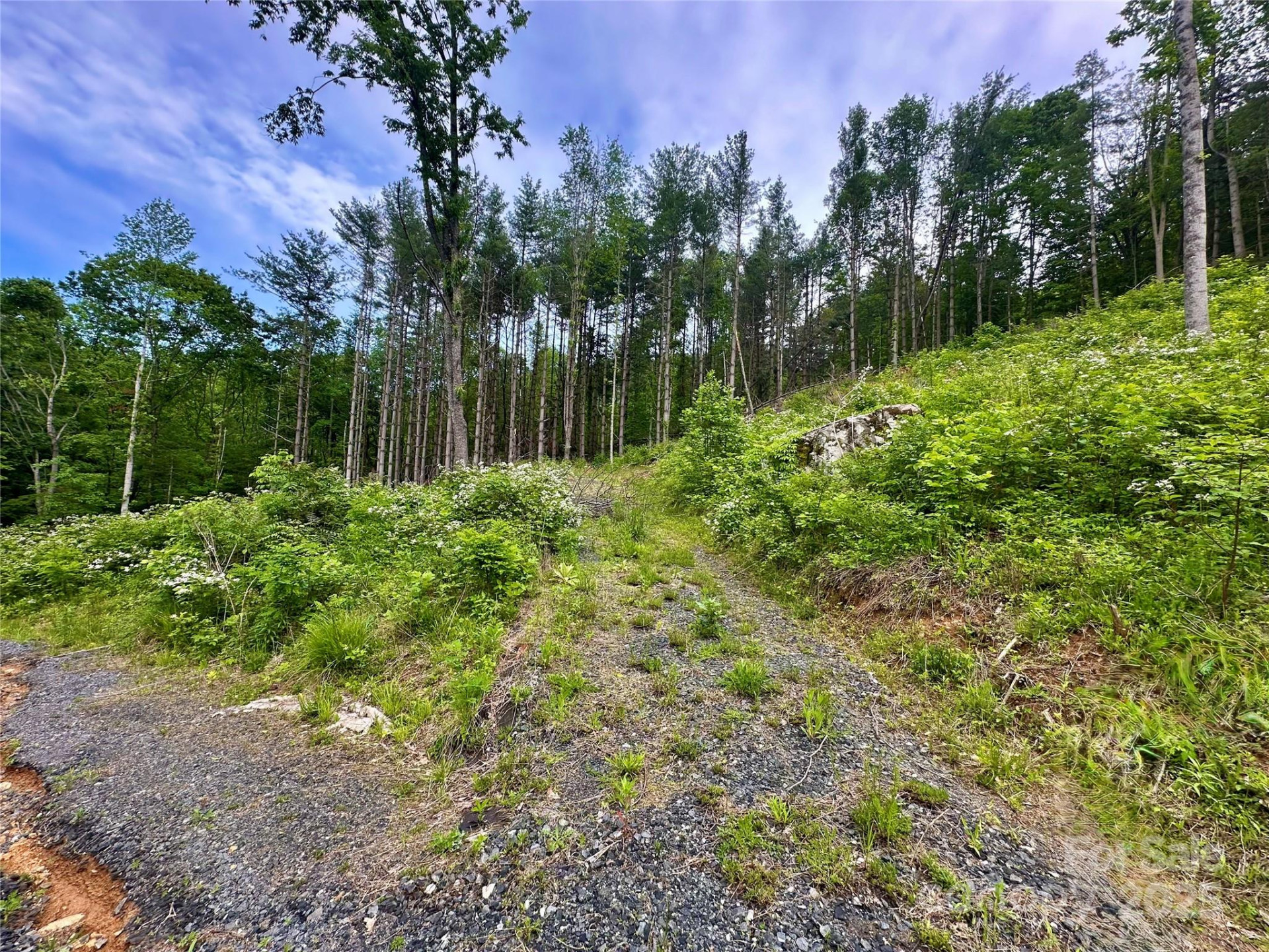 000 Pumpkin Patch Road - Photo 39