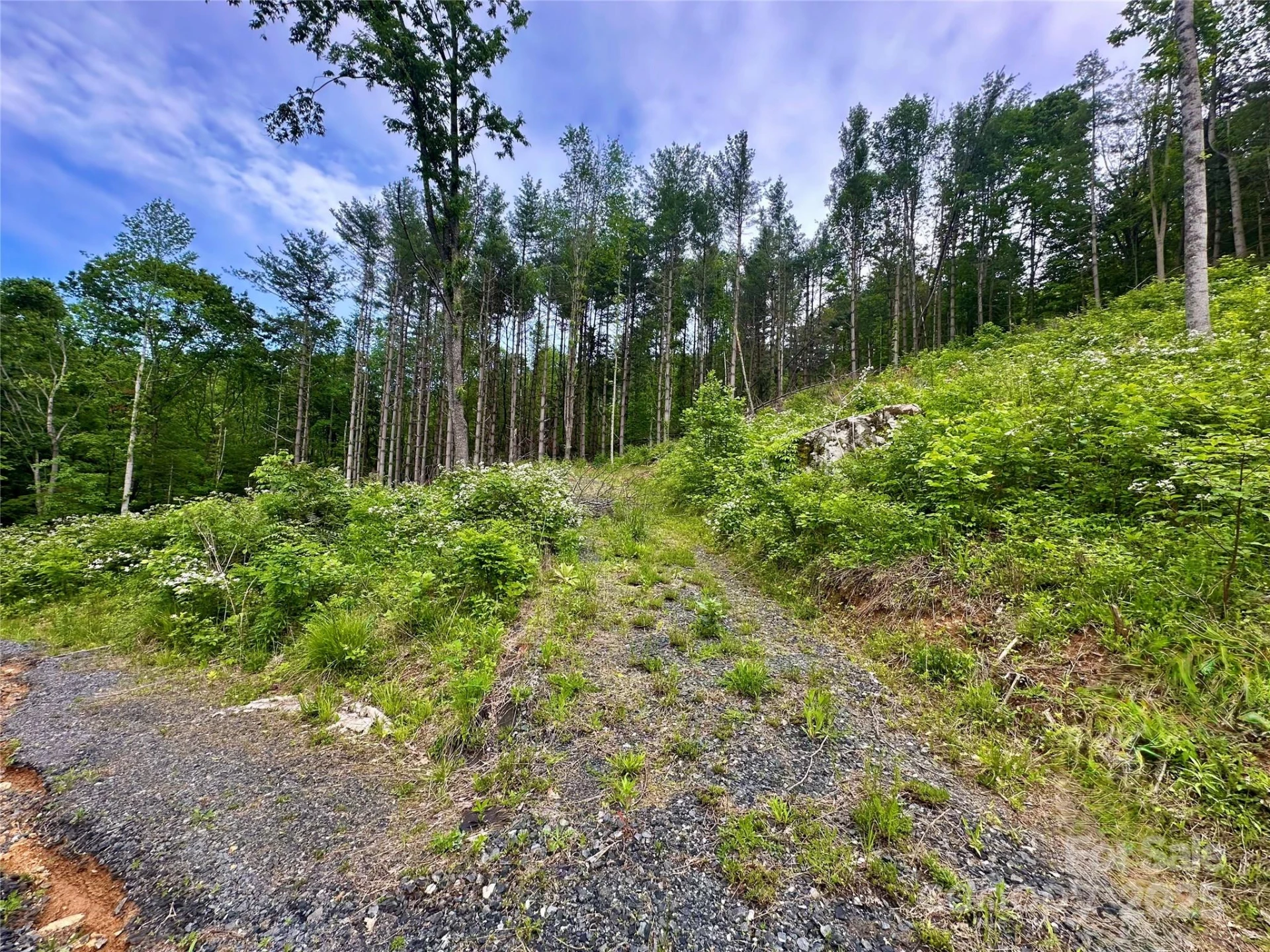 000 Pumpkin Patch Road - Photo 39