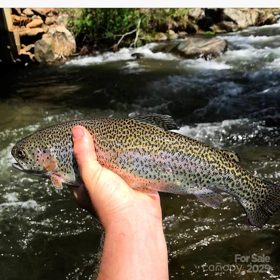 000 Pumpkin Patch Road - Photo 40