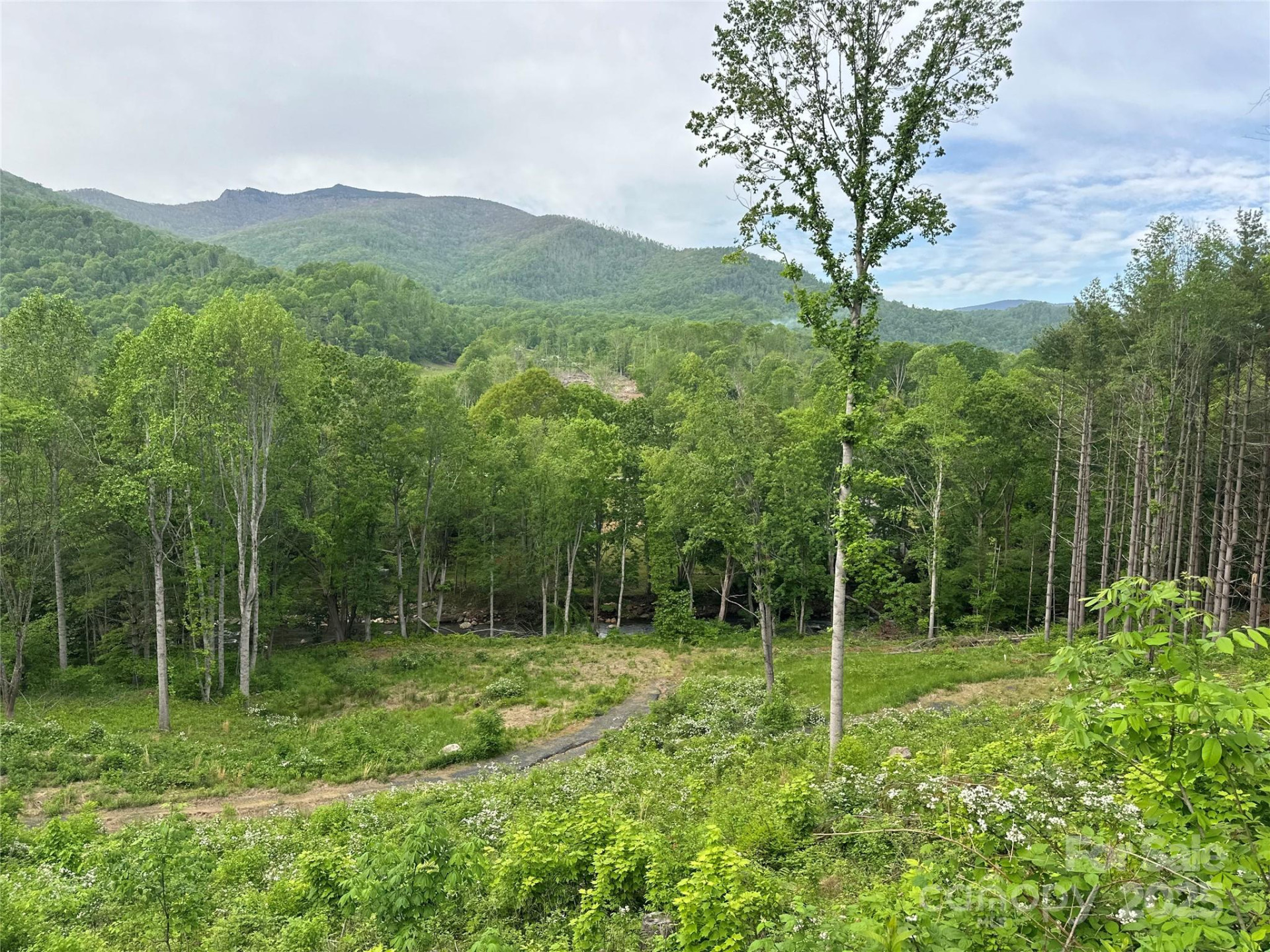 000 Pumpkin Patch Road - Photo 5