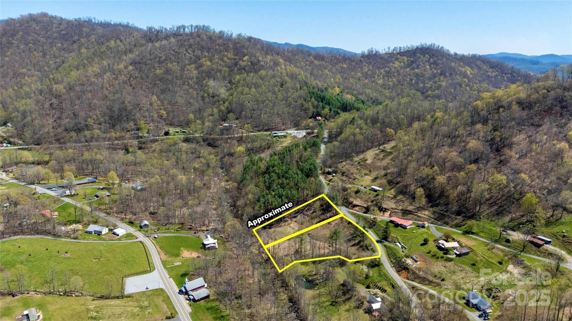 000 Pumpkin Patch Road - Photo 6