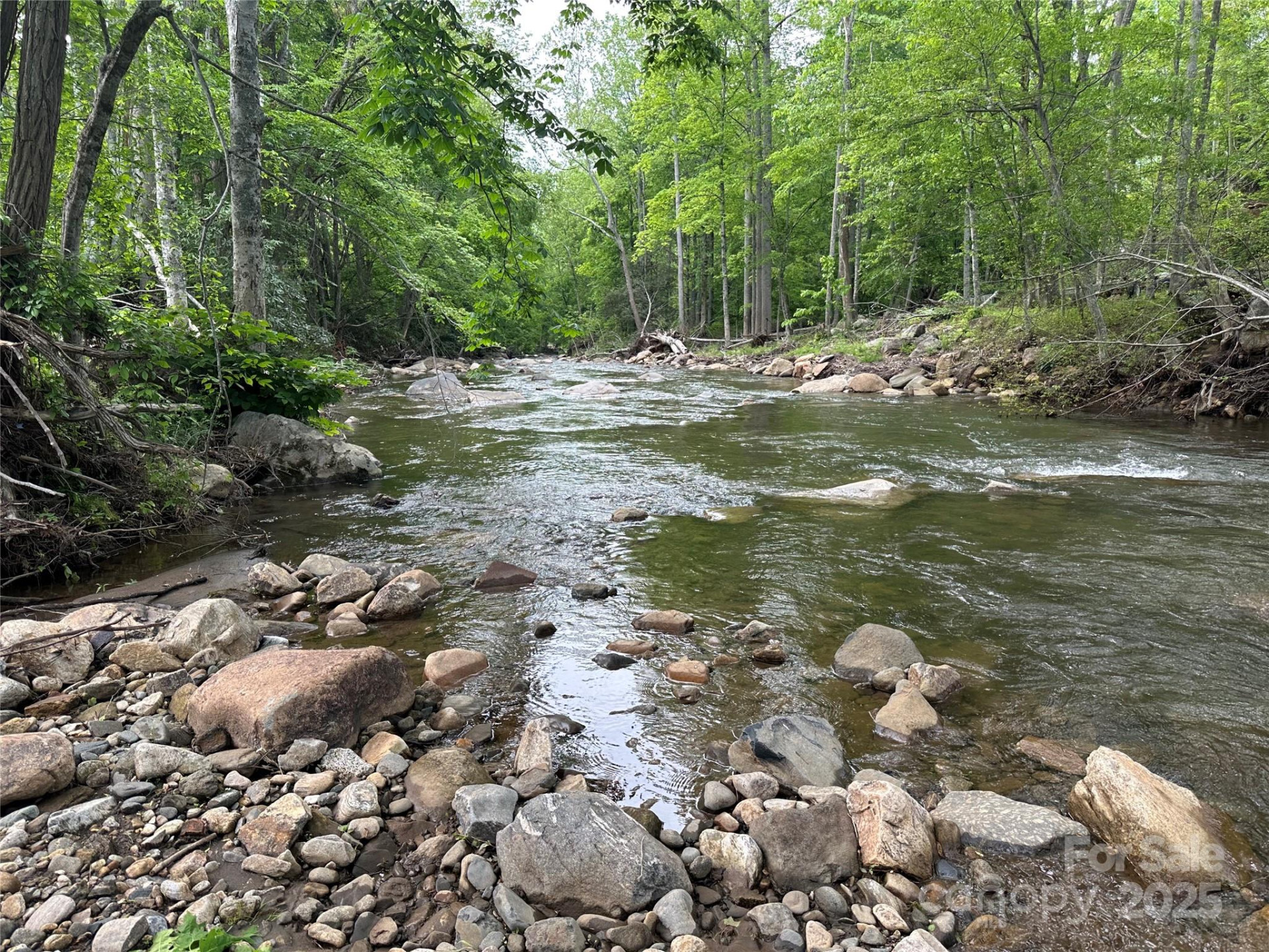 000 Pumpkin Patch Road - Photo 7