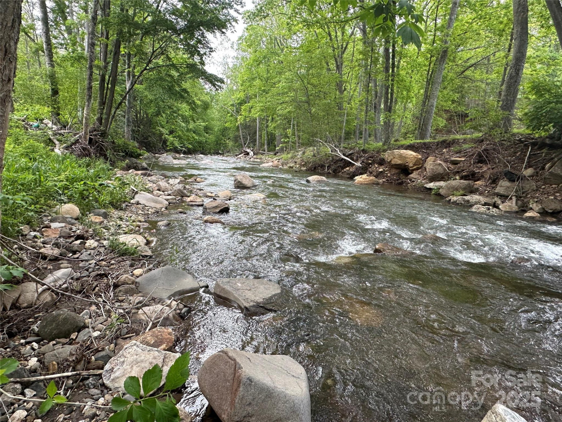 000 Pumpkin Patch Road - Photo 9