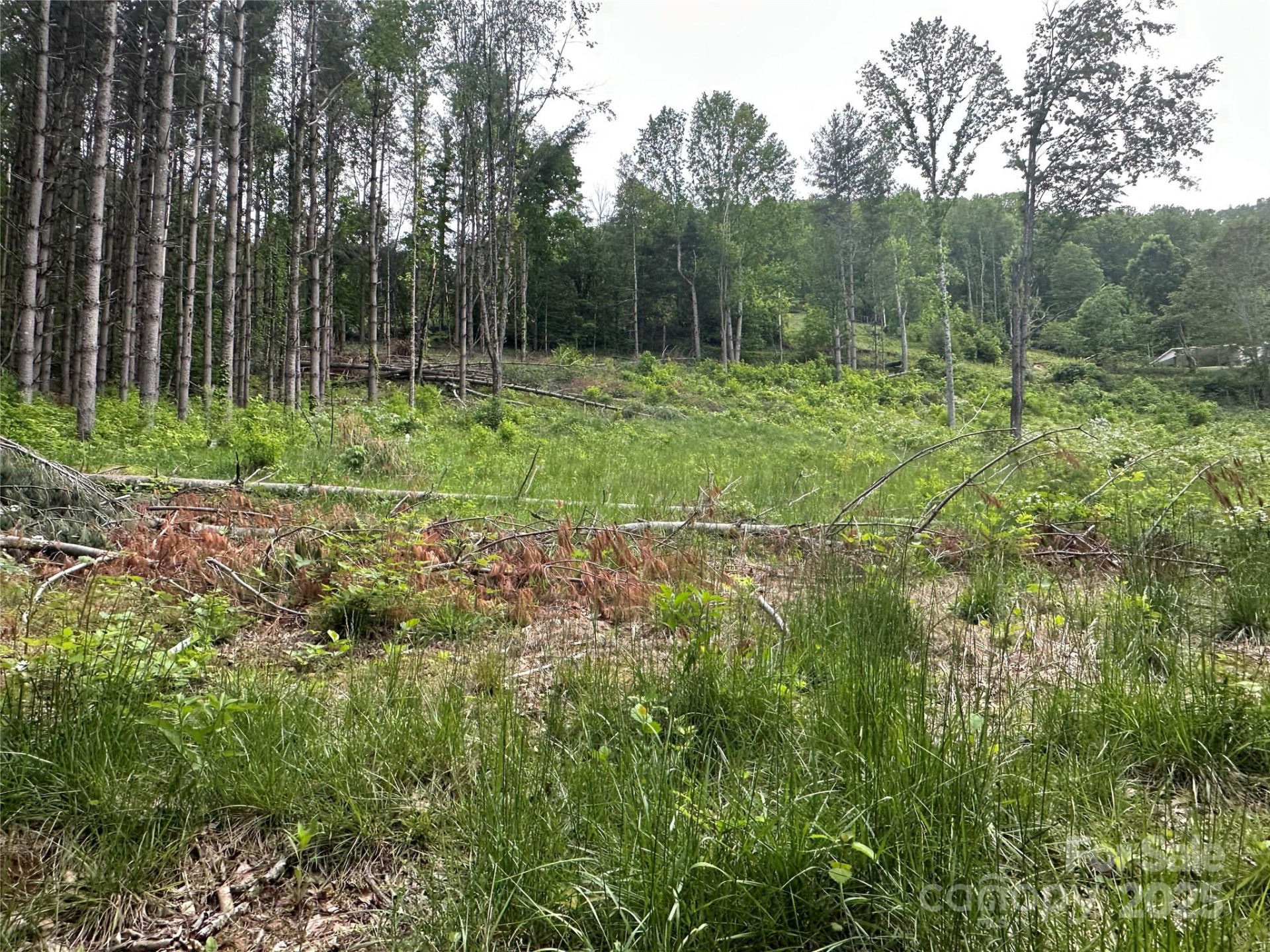 000 Pumpkin Patch Road - Photo 10